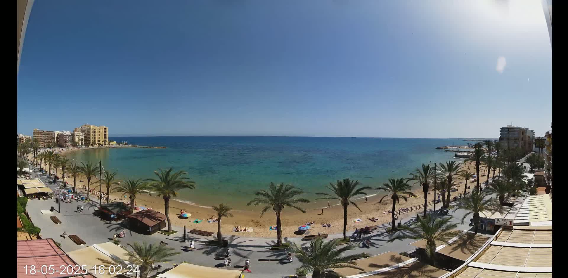 A sunny day at a beach with palm trees lining a boardwalk, featuring buildings in the background and people enjoying the sand and water.