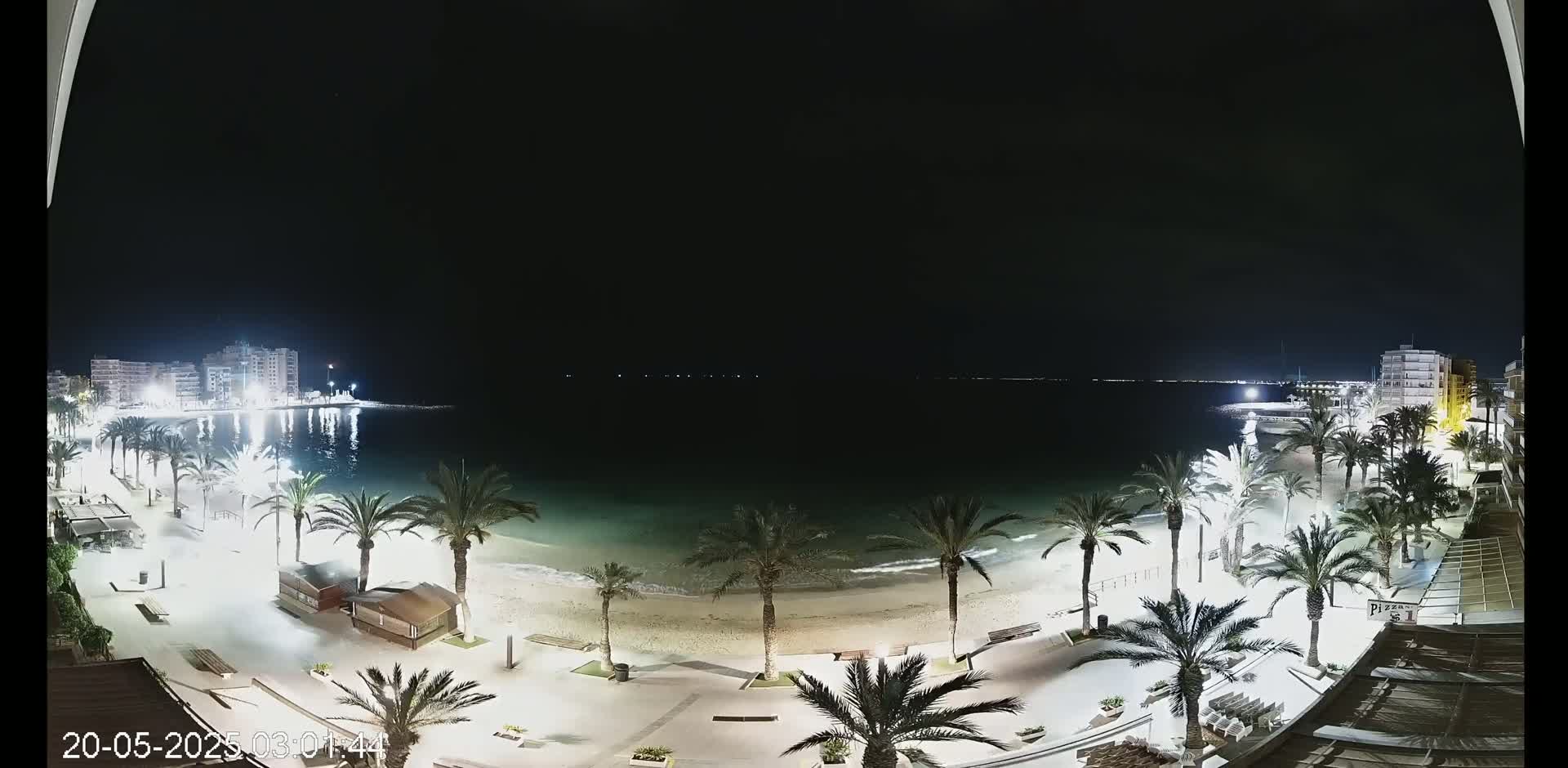 A nighttime, beachfront view shows a calm ocean, sandy shore lined with palm trees and lights, and buildings in the distance.