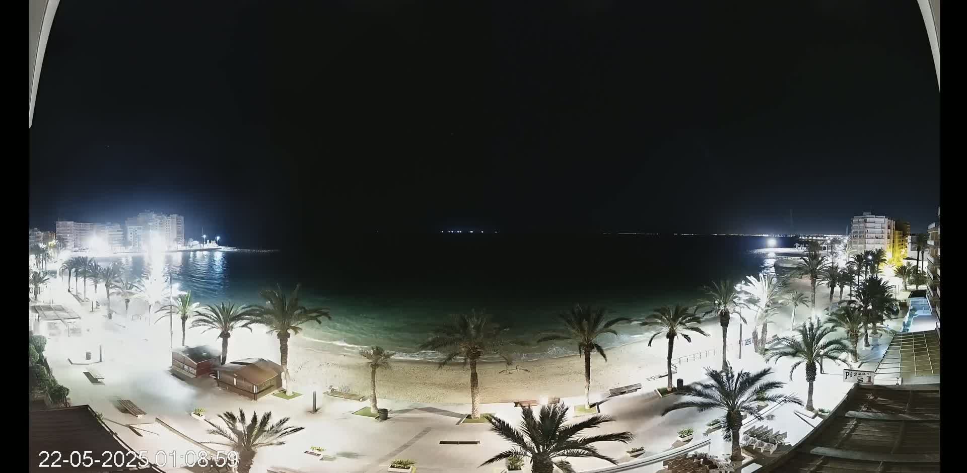 A nighttime view of a beach with palm trees lining the shore, illuminated buildings in the distance, and calm water.