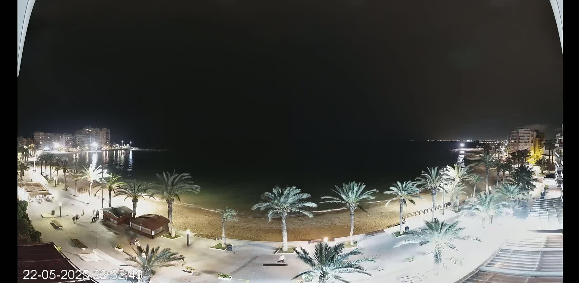 A nighttime view of a beach with palm trees lining a promenade, overlooking calm water and buildings in the distance under a clear, dark sky.
