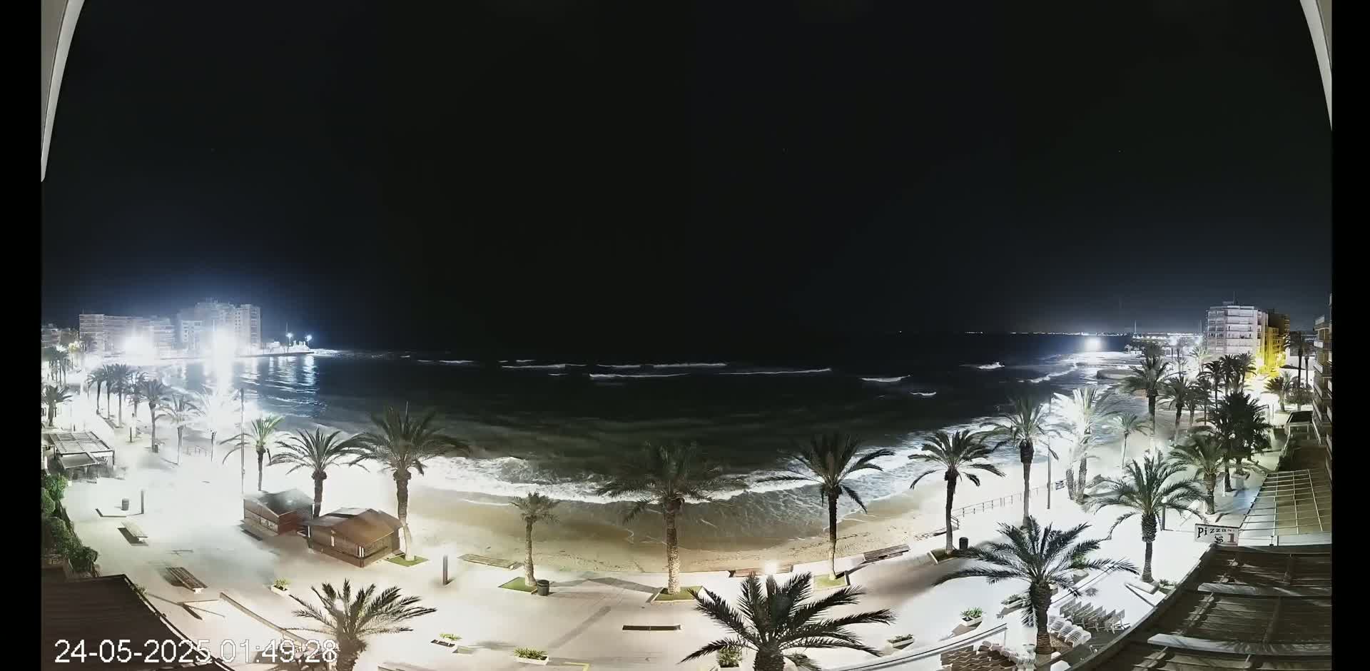 A nighttime beach scene shows a sandy shore with palm trees lining a paved walkway, illuminated buildings in the distance, and moderate waves breaking on the sand under a clear, dark sky.