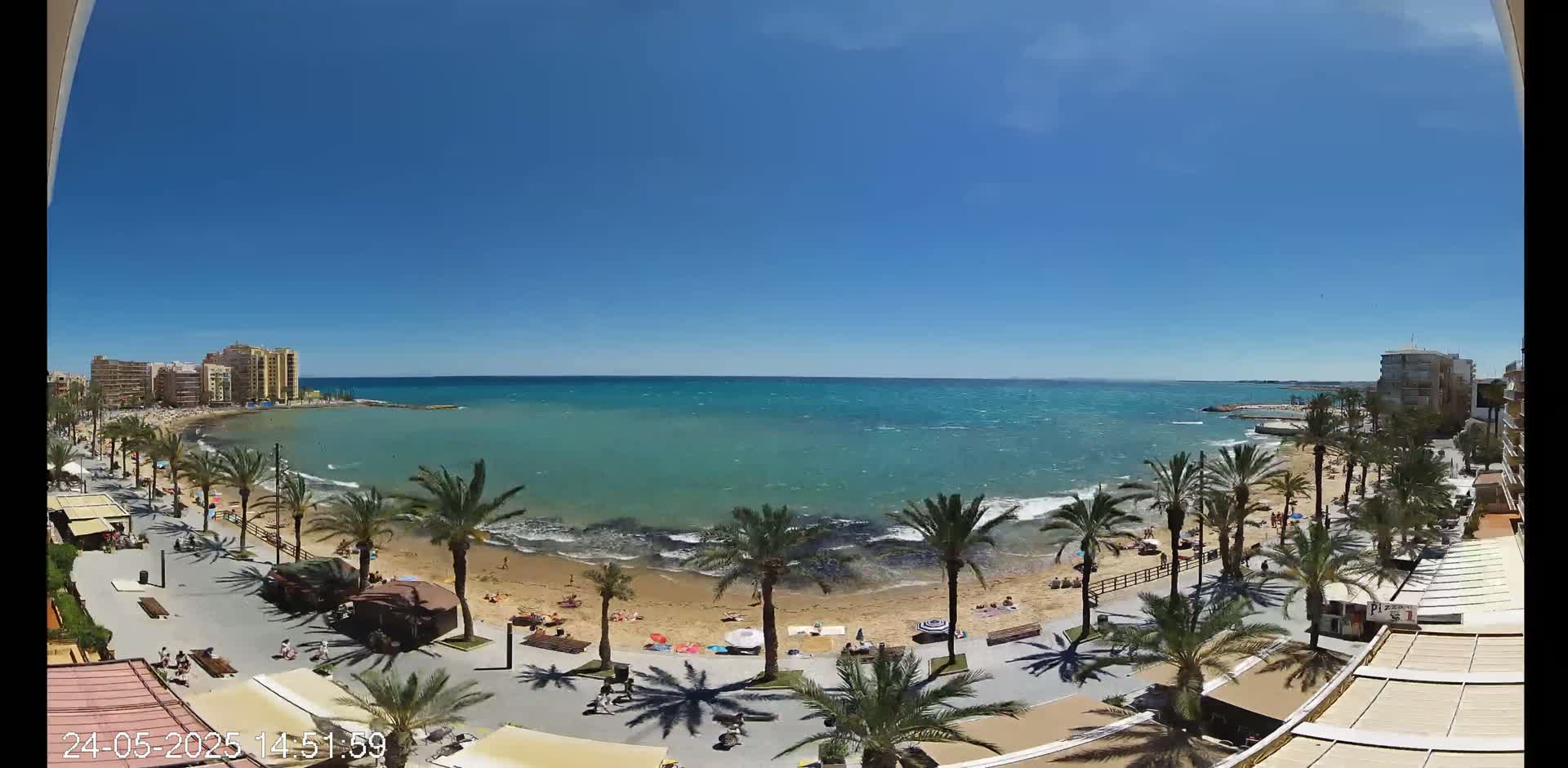 A sunny day at a beach with palm trees lining a boardwalk, overlooking a calm, teal sea with gentle waves, and buildings in the background.