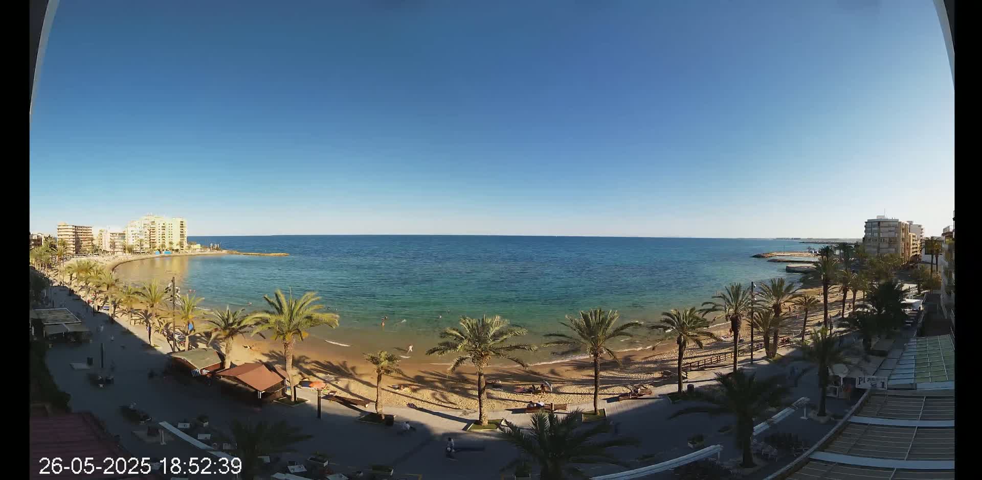 A sunny day at a beach with palm trees lining a promenade, buildings in the background, and people enjoying the sand and water.