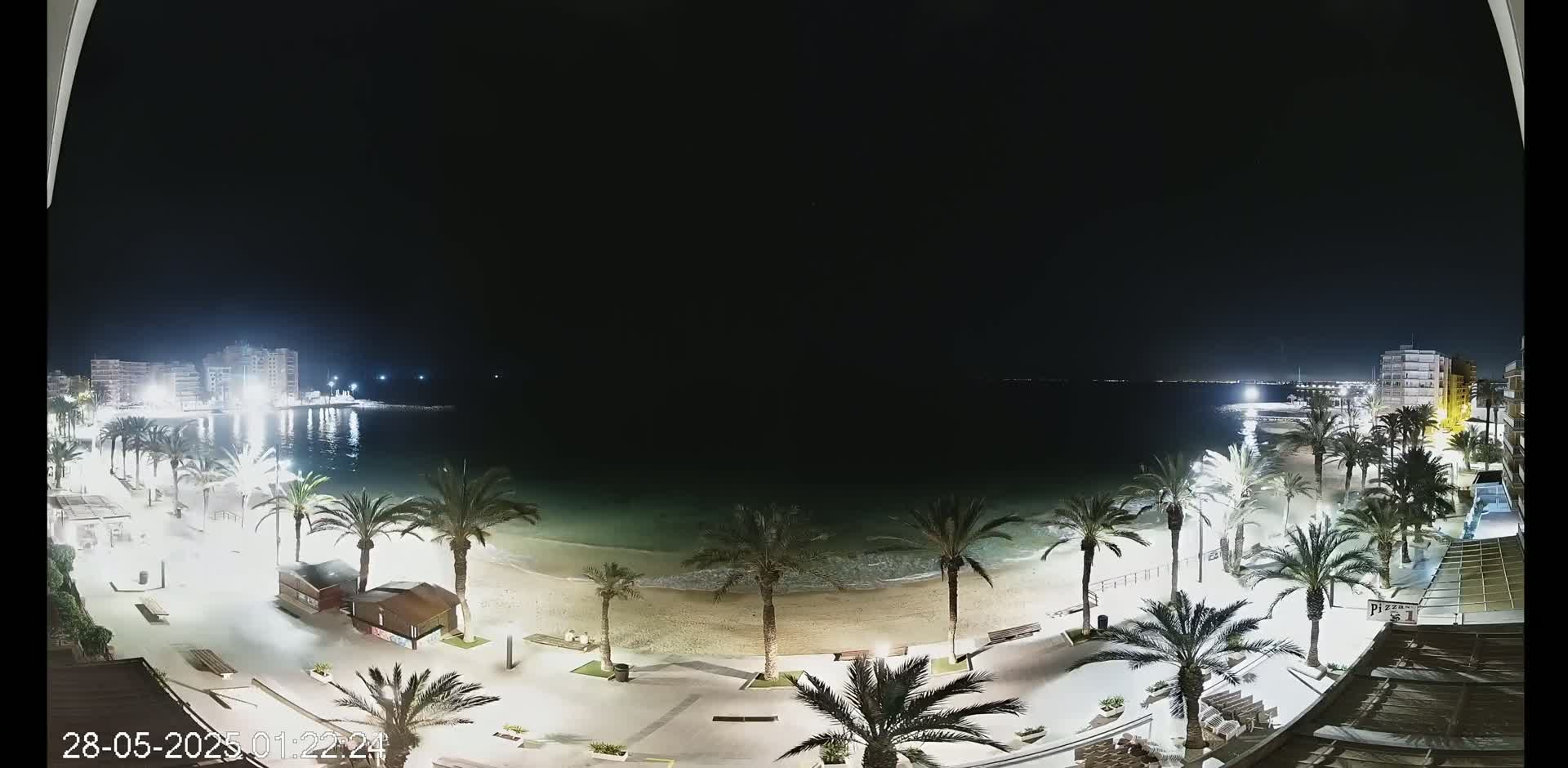 A nighttime view of a beach with palm trees lining a paved walkway, buildings in the distance, and calm water under a clear, dark sky.