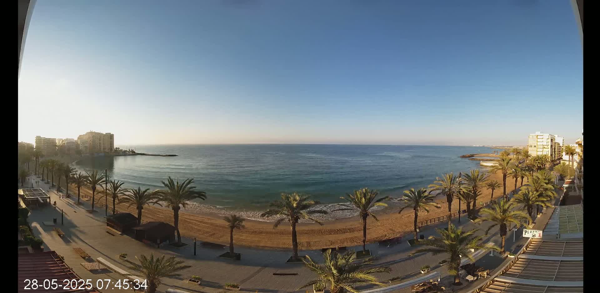 A sandy beach lined with palm trees and buildings stretches along a calm, blue ocean under a clear, sunny sky.