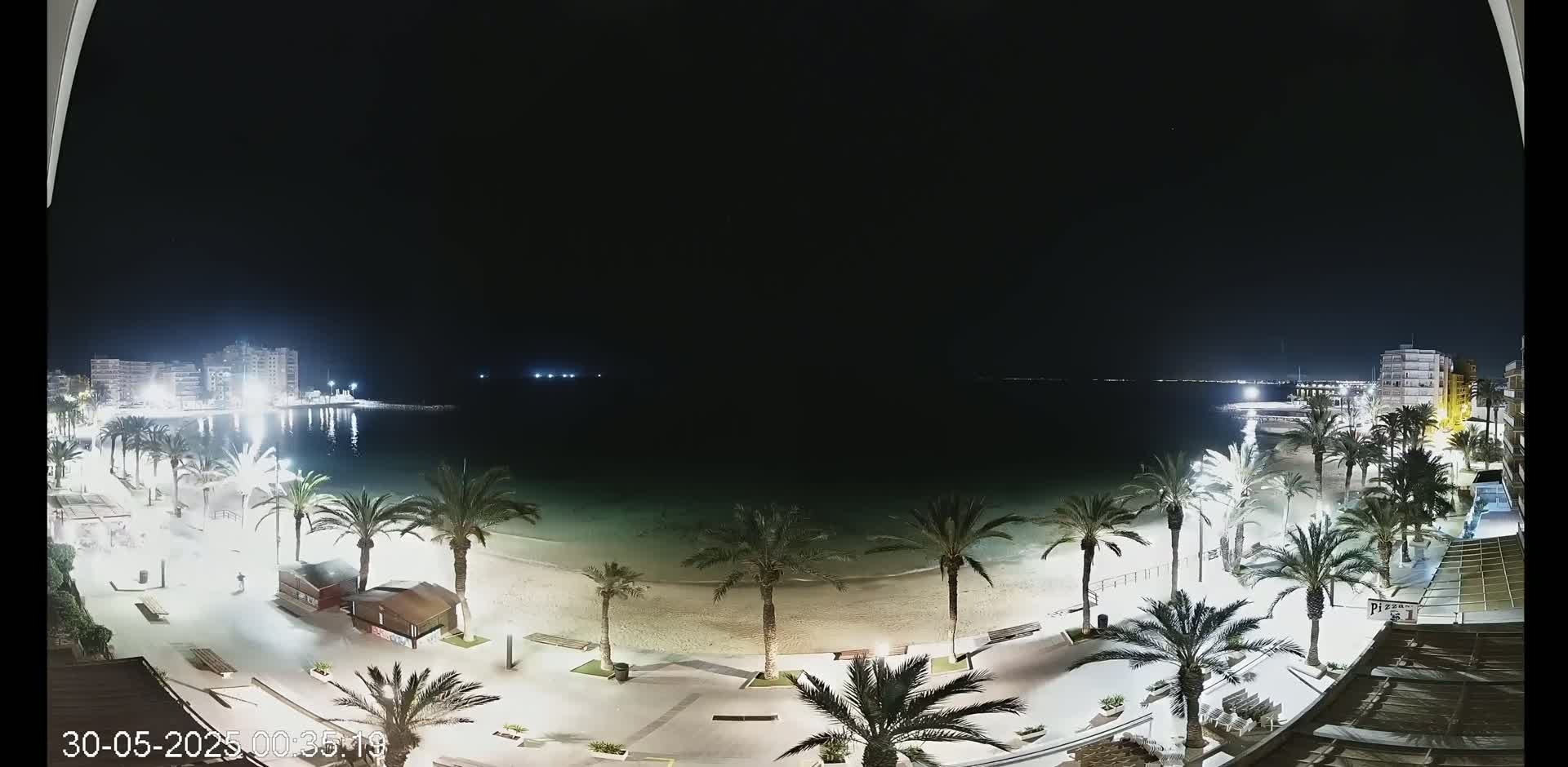 A nighttime view of a beach with palm trees lining a paved walkway, buildings in the background, and a calm sea under a dark sky.