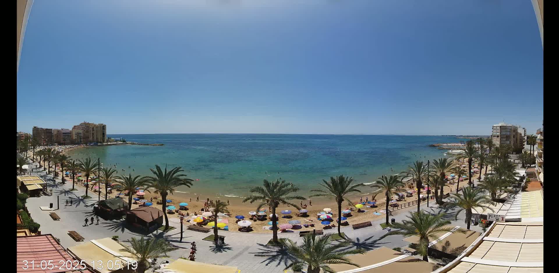 A sunny day at a beach, with palm trees lining a sandy shore where people relax under colorful umbrellas, and buildings visible in the distance.