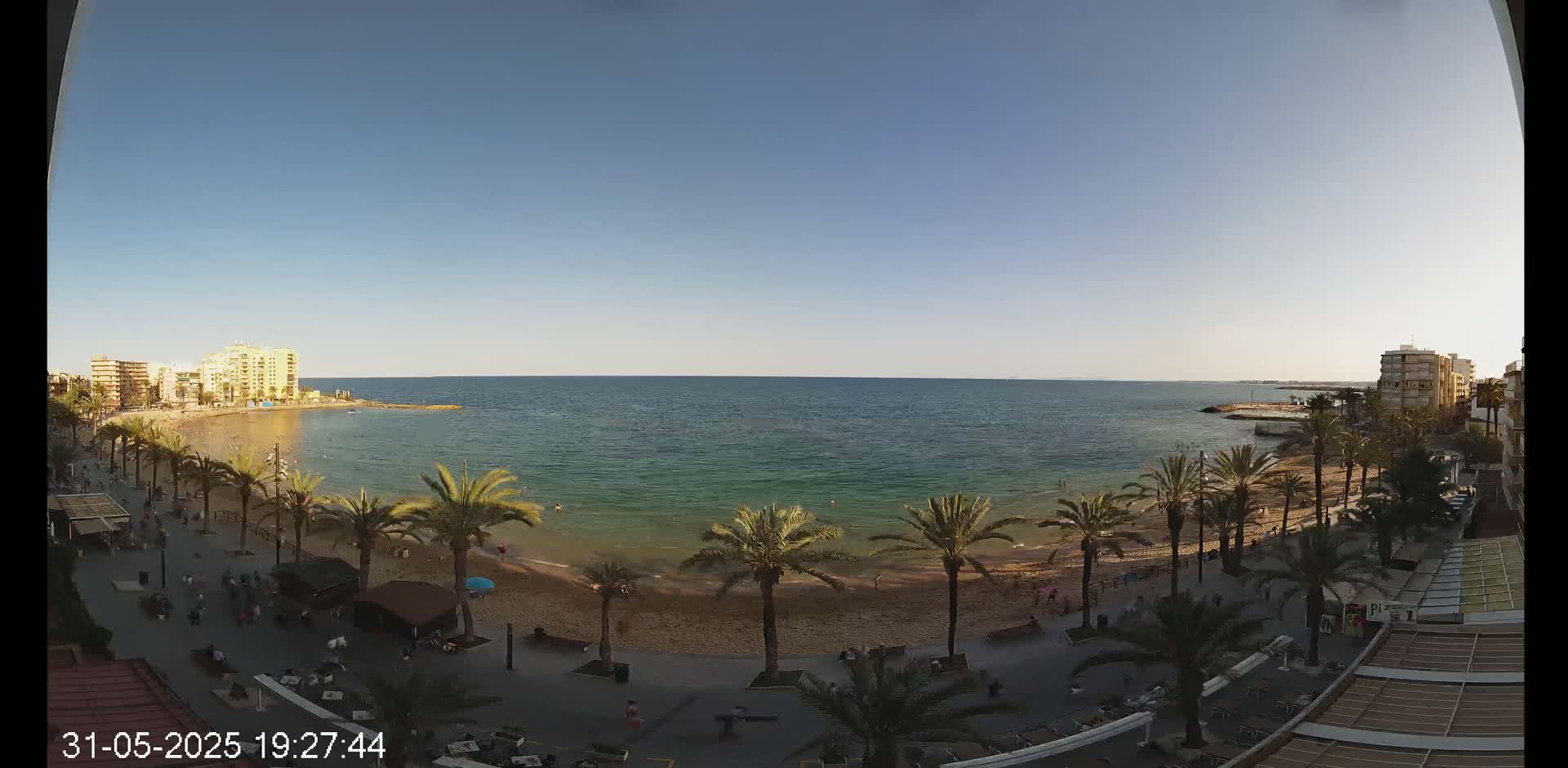 A sandy beach with palm trees lines a calm, clear ocean under a bright, sunny sky.