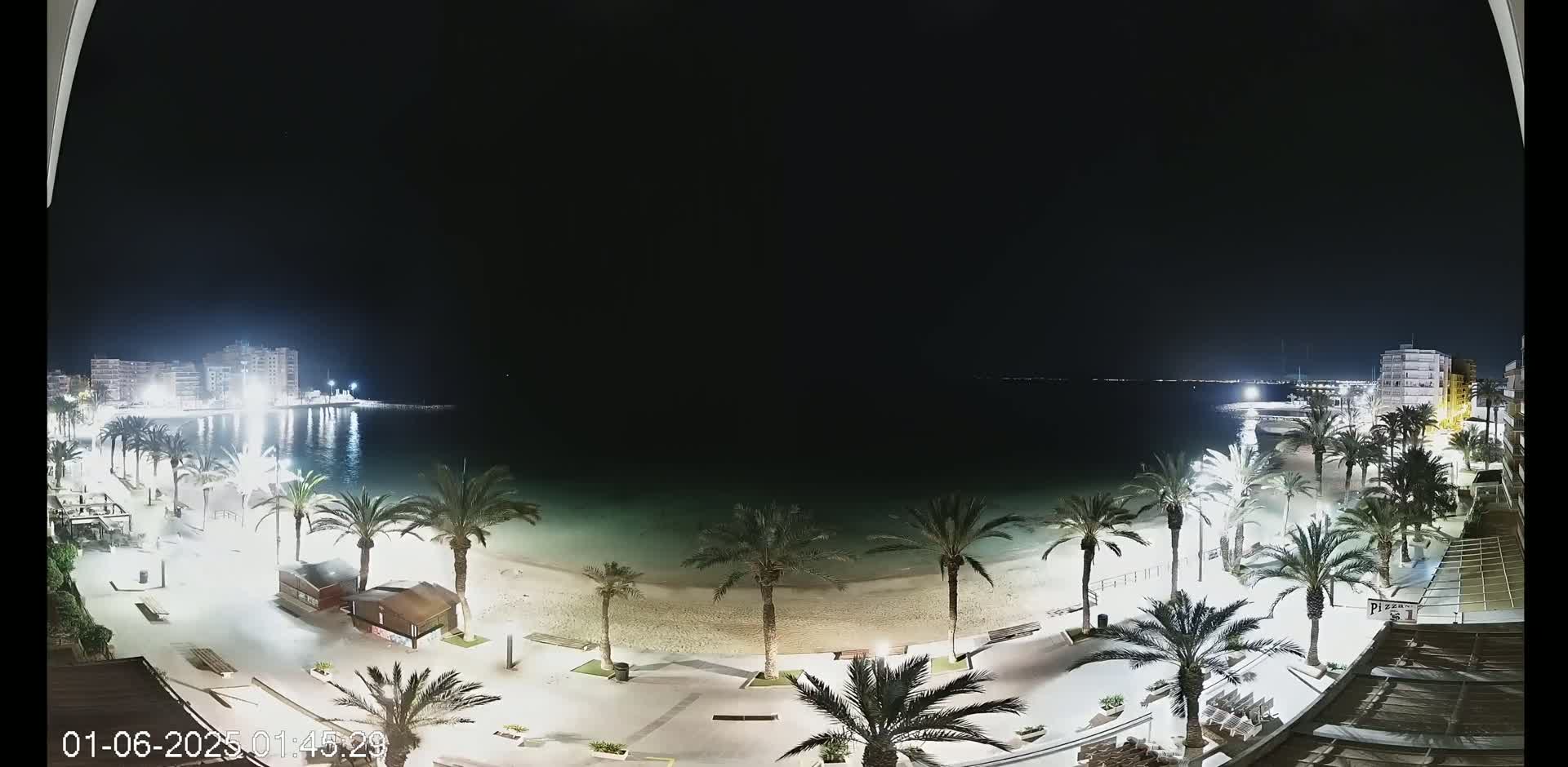 A nighttime view of a beach with palm trees lining a paved walkway, buildings in the distance, and calm water under a clear, dark sky.