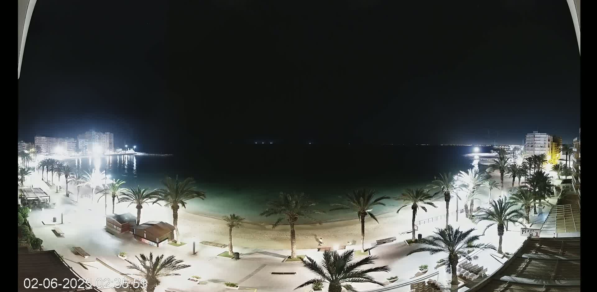 A nighttime view of a beach with palm trees lining a paved walkway, buildings in the background, and calm, dark water under a clear sky.