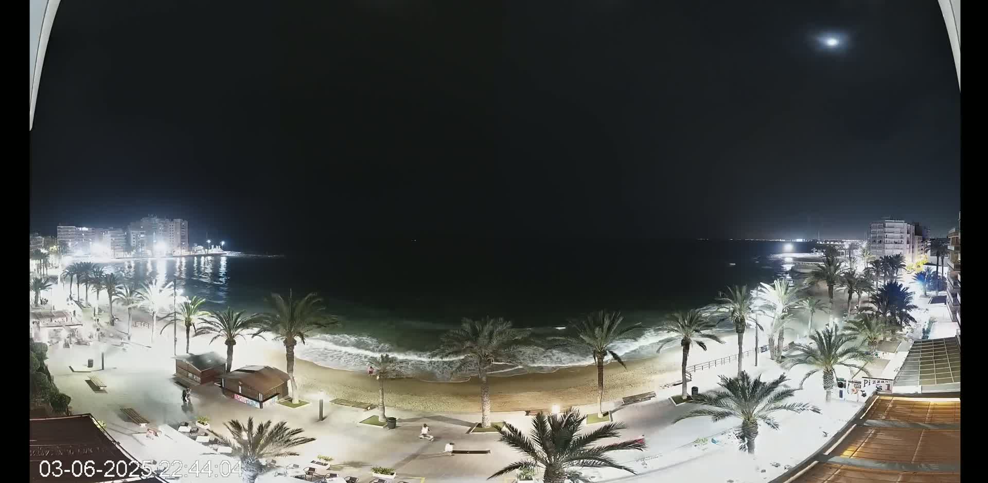 A night-time view of a beach with palm trees lining a boardwalk, gentle waves lapping the shore, and buildings illuminated in the distance under a clear, moonlit sky.
