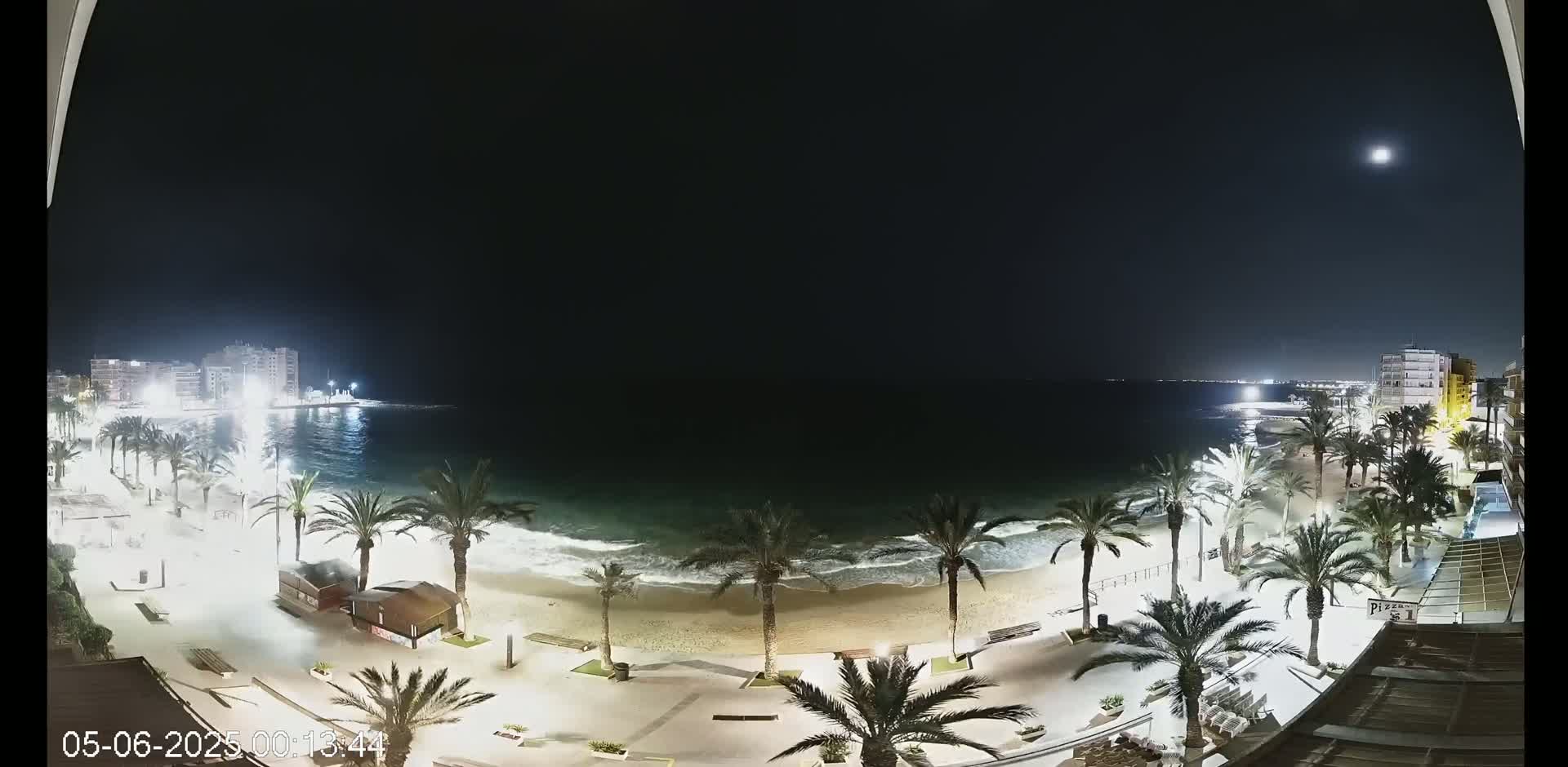 A moonlit nighttime view of a sandy beach with palm trees lining a promenade, gentle waves lapping the shore, and buildings visible in the distance.