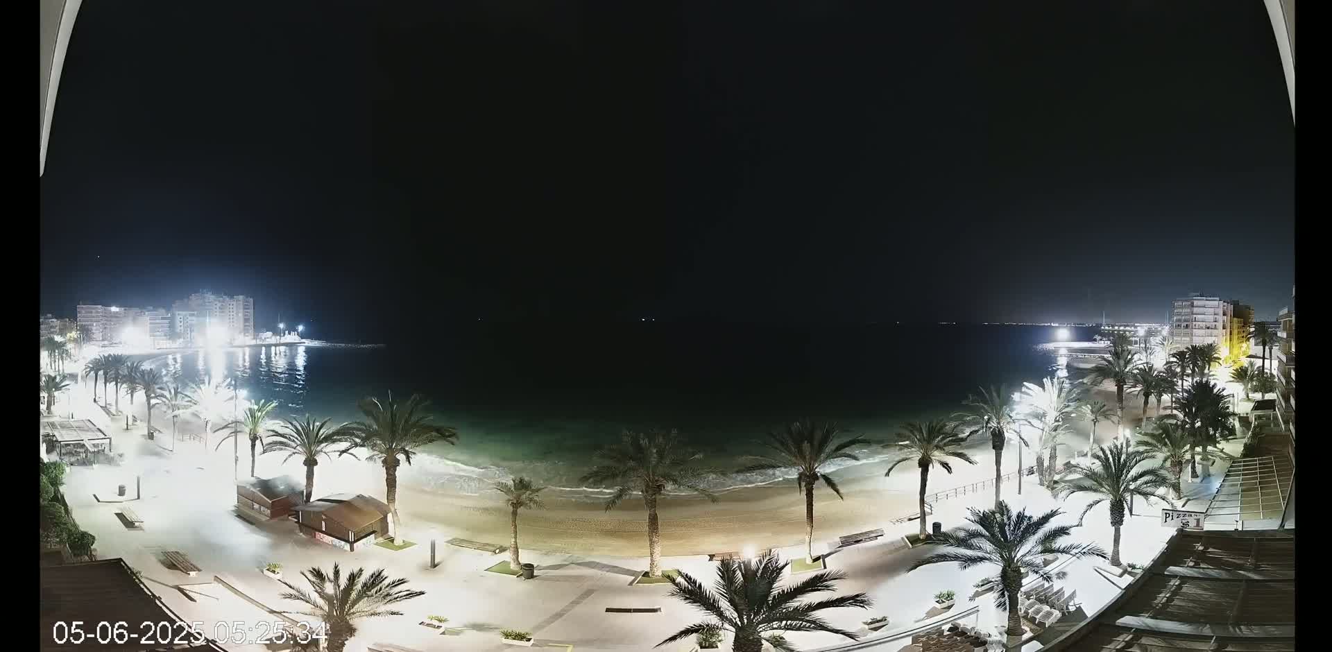 A nighttime view of a beach with palm trees lining the shore, illuminated buildings across the water, and gentle waves lapping the sand under a clear, dark sky.
