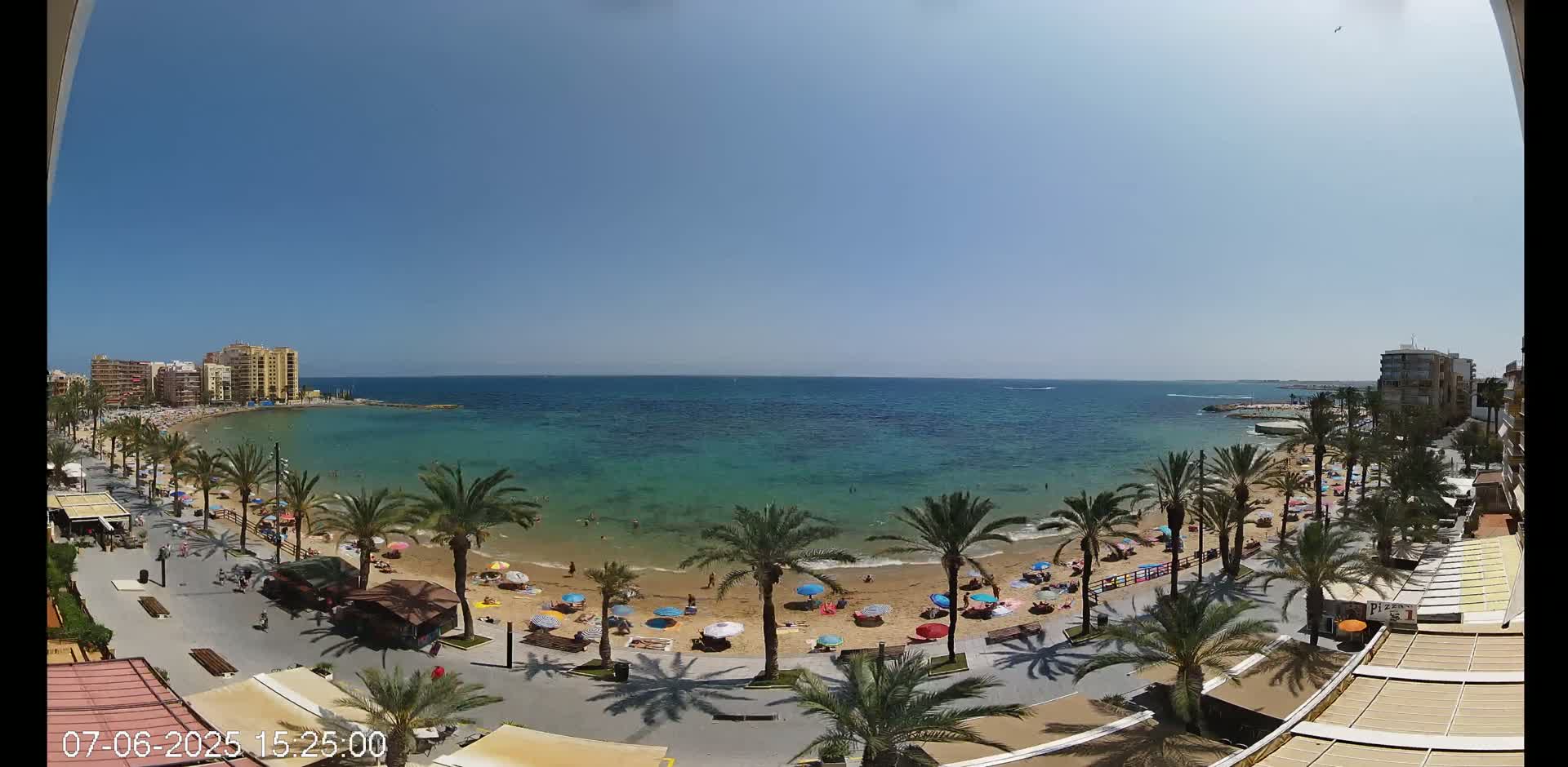 A sunny day at a beach with palm trees lining a sandy shore, buildings in the distance, and people enjoying the water and sun.