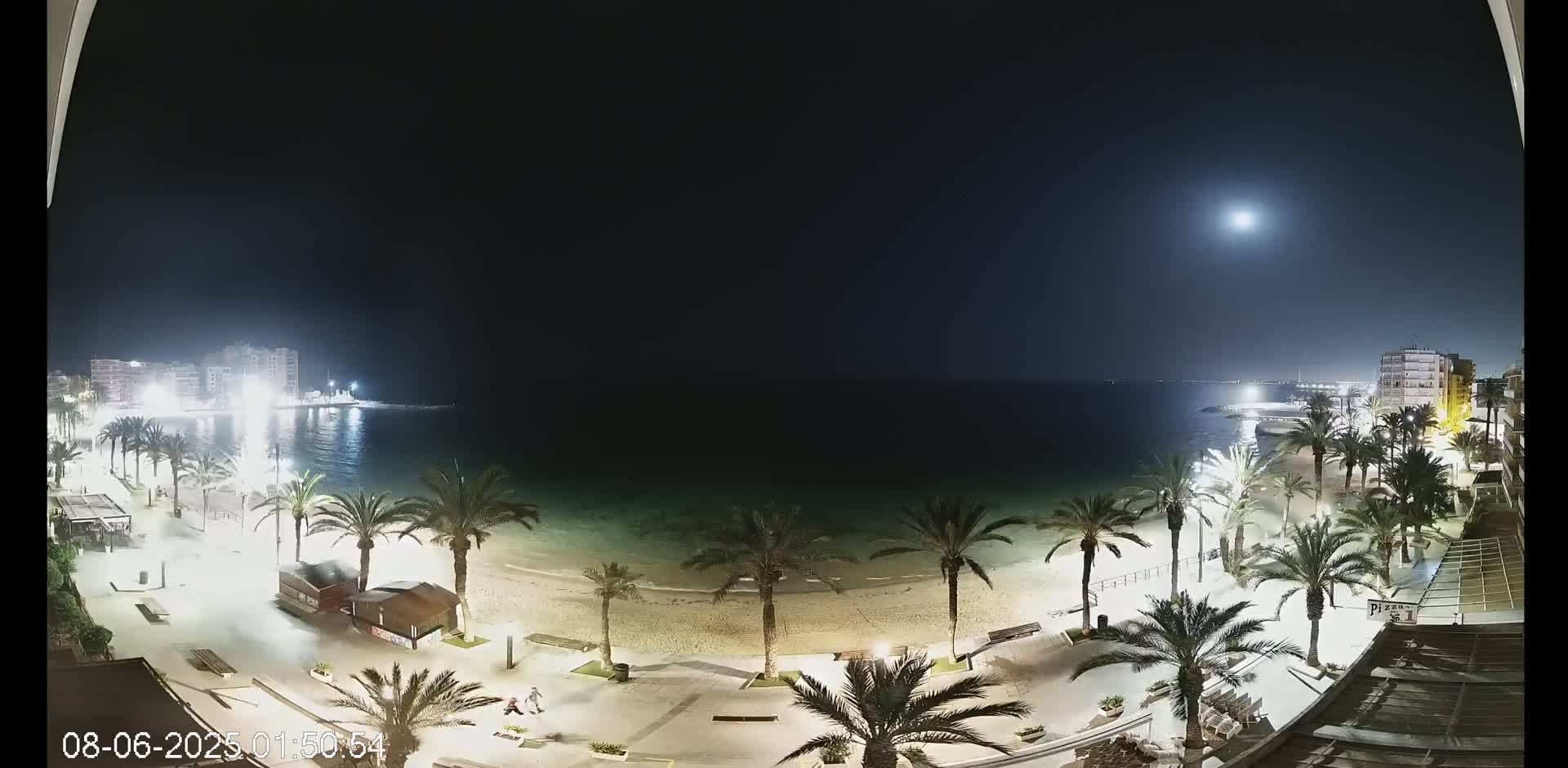 A nighttime view of a beach with palm trees, buildings, and a brightly lit boardwalk under a clear, moonlit sky.