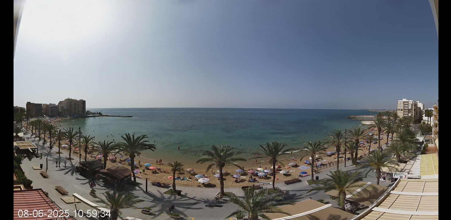 A sunny beach scene shows a sandy shore lined with palm trees and umbrellas, with calm turquoise water extending to a distant horizon under a clear blue sky.