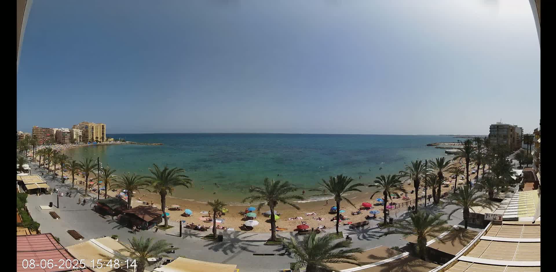 A sandy beach with palm trees and sunbathers is situated next to a calm, turquoise ocean under a clear blue sky.