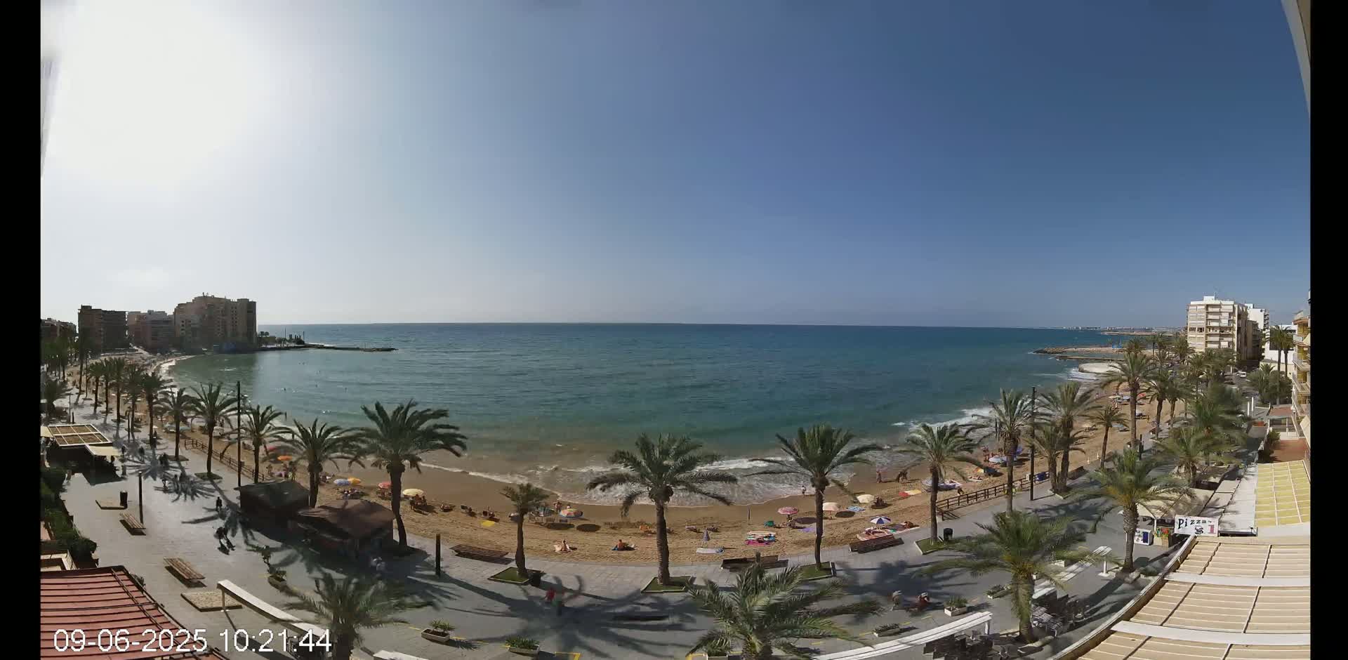 A sunny day at a beach, showing a sandy shore lined with palm trees, buildings in the background, and calm ocean waves.