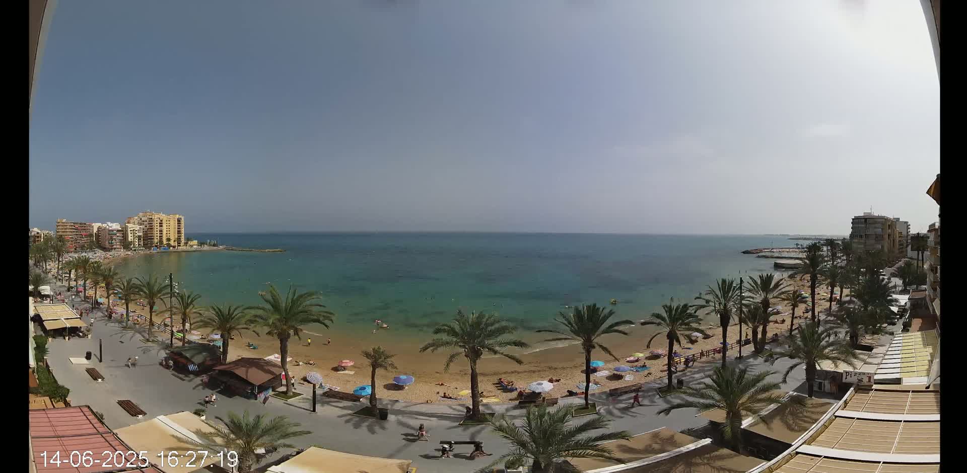 A sunny day at a beach with palm trees lining a sandy shore and calm turquoise water, with buildings visible in the distance.