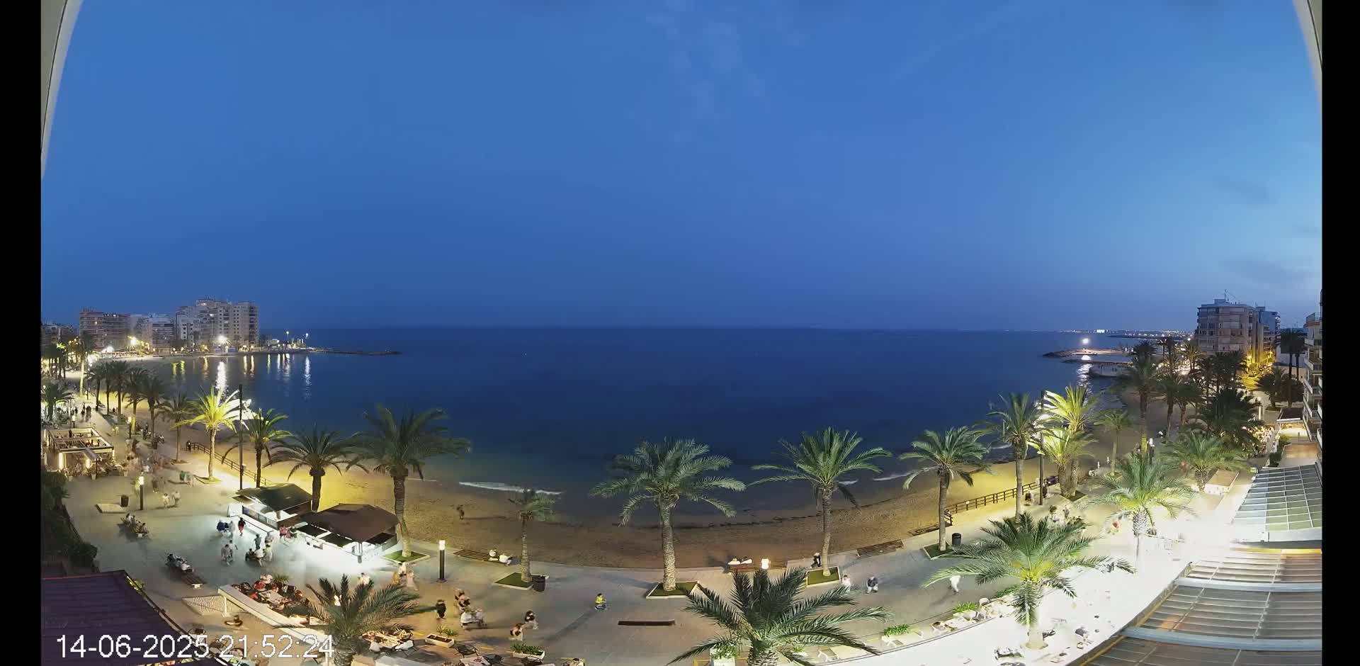 A sunny day at a beach with palm trees lining a sandy shore and calm turquoise water, with buildings visible in the distance.