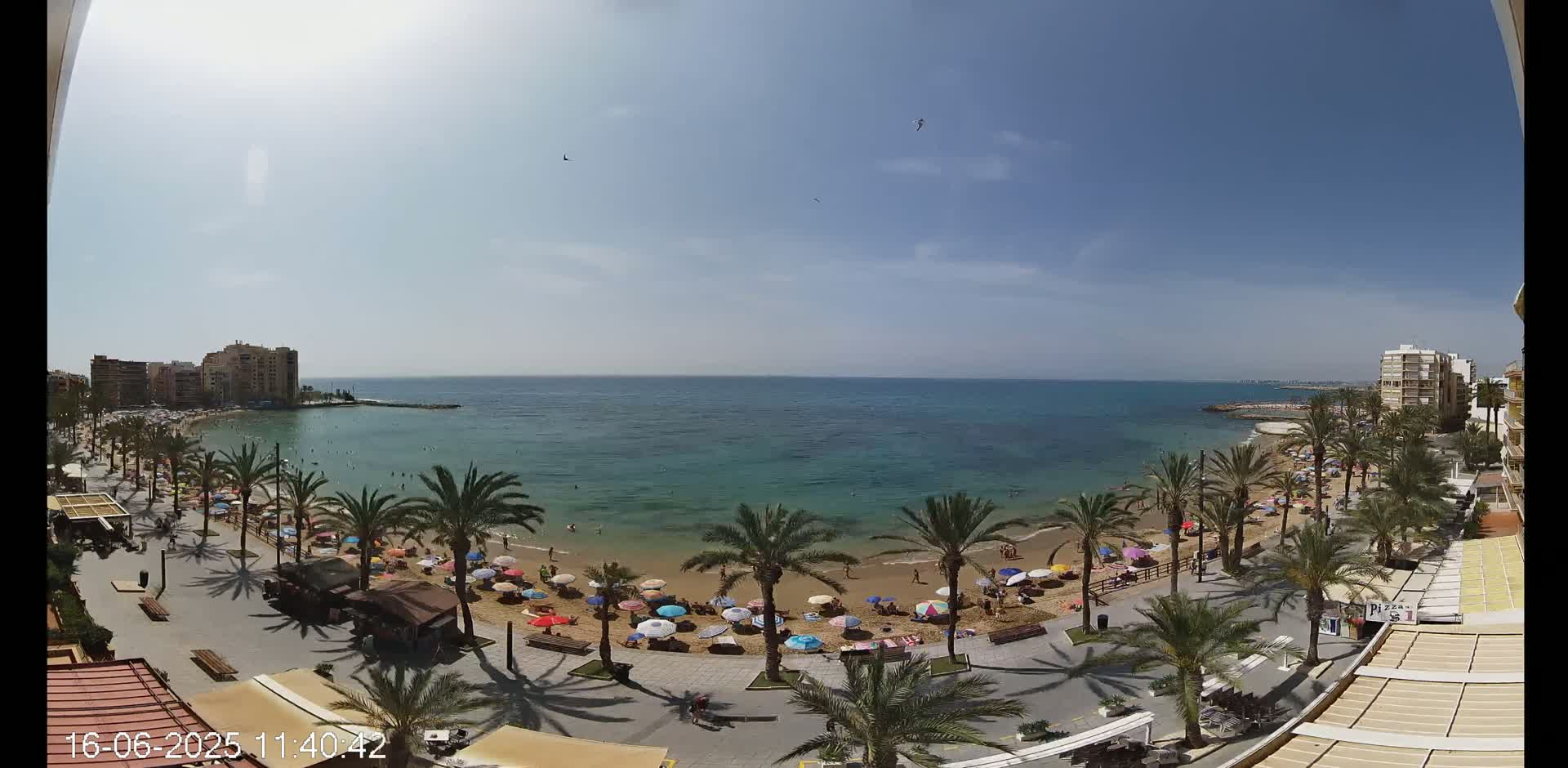 A sunny day at a beach with palm trees lining a promenade, featuring colorful umbrellas and people enjoying the sand and sea.