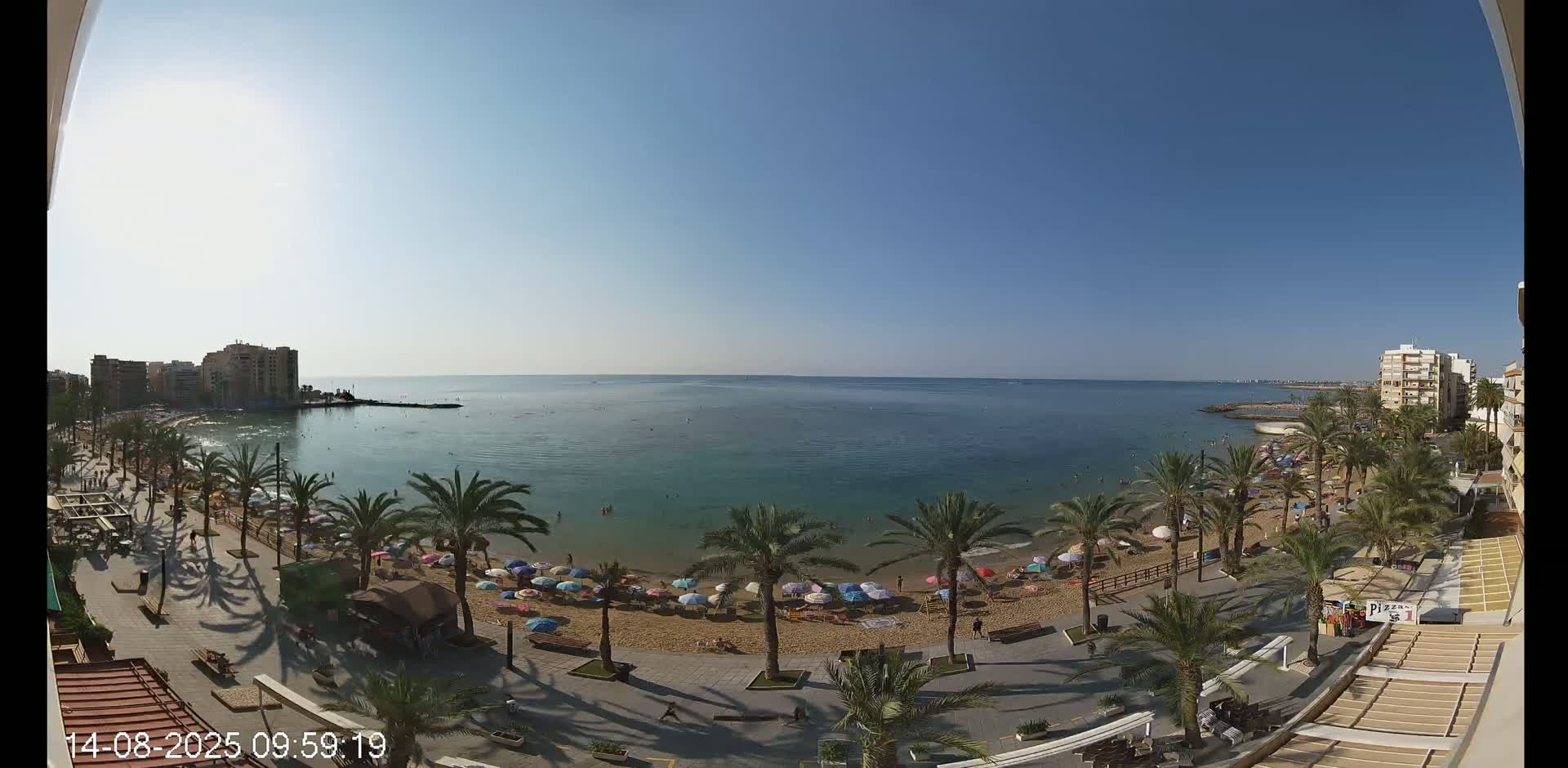 A sunny day shows a beach with colorful umbrellas and palm trees lining a boardwalk,  buildings in the background and calm blue water beyond.