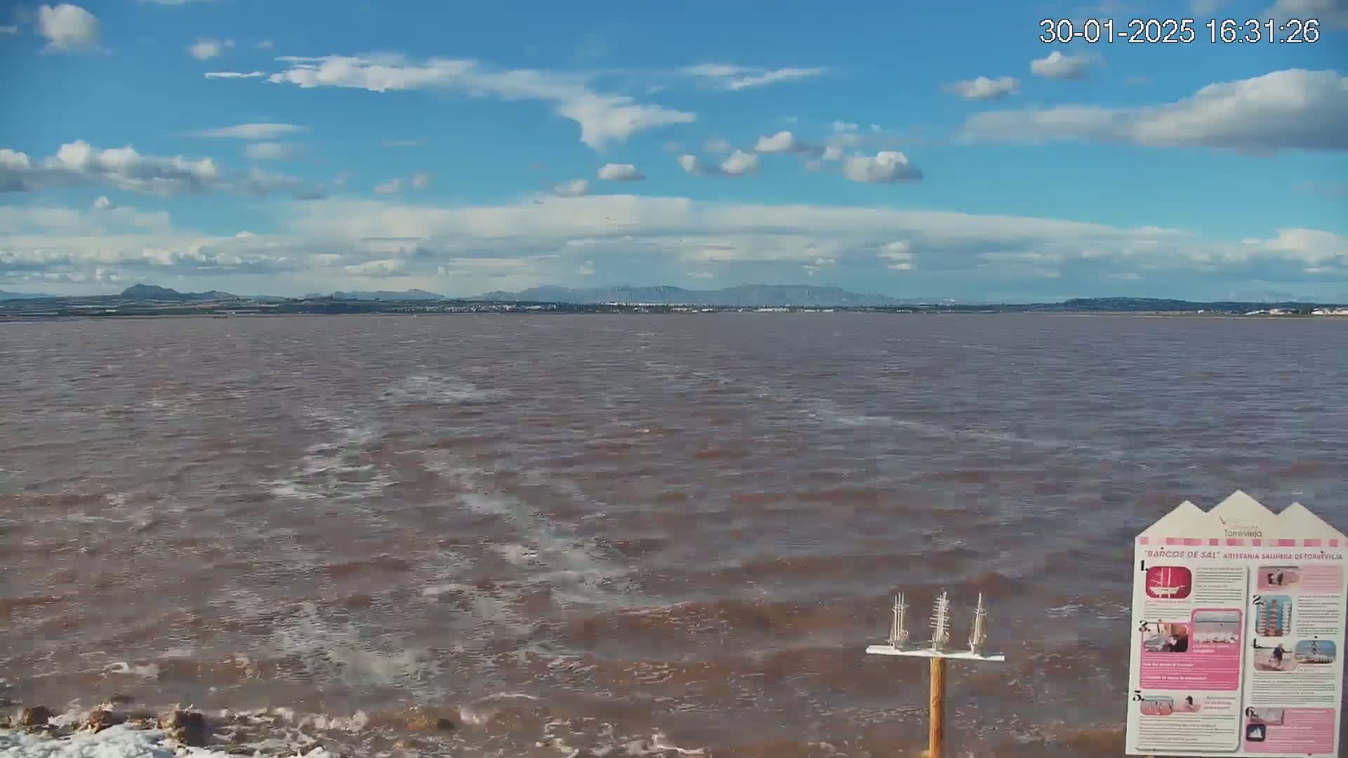 A pinkish-brown body of water with small waves stretches to a distant shoreline under a partly cloudy sky.