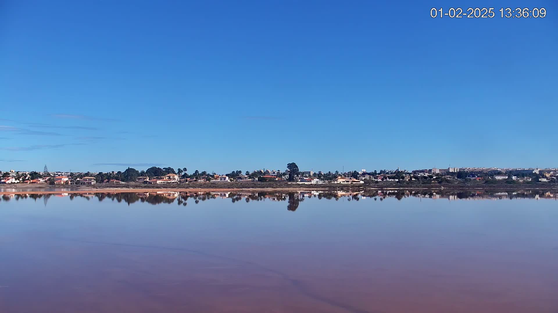 A calm, pink-hued lake reflects a clear blue sky and a line of houses and vegetation on the opposite shore under sunny conditions.