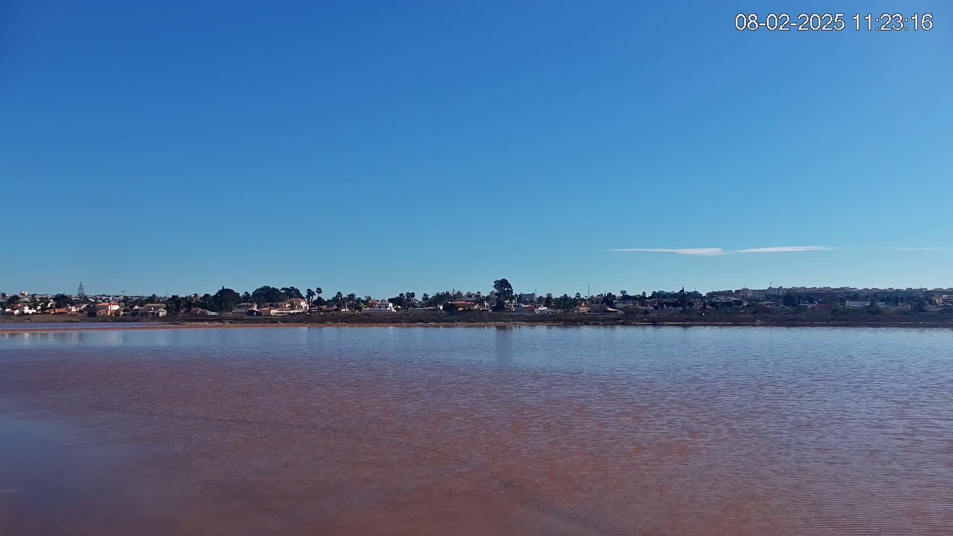A calm, pink-hued body of water stretches out before a clear blue sky, with a line of houses and vegetation visible on the far shore.
