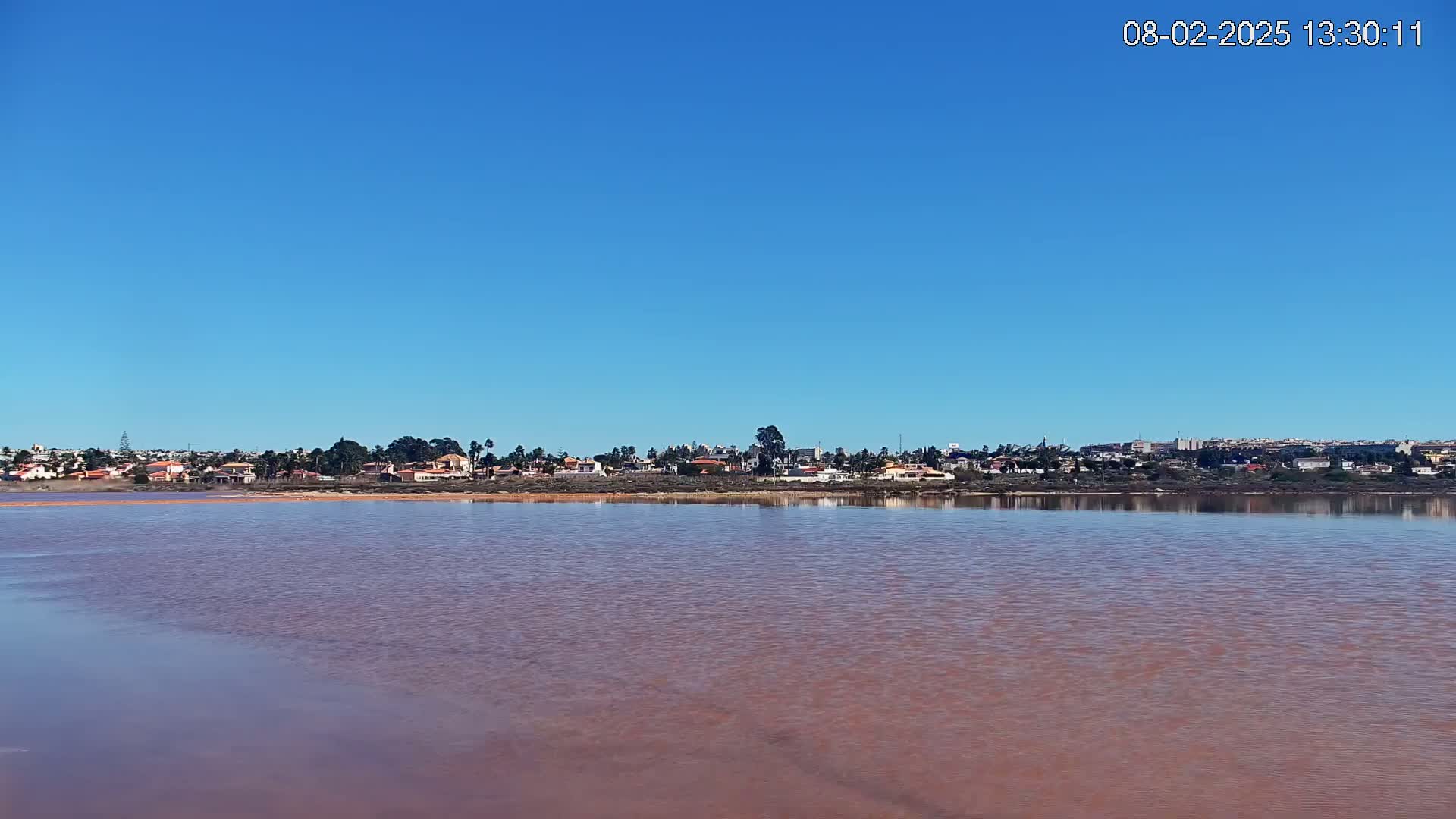 A calm, pinkish-hued body of water stretches out before a line of houses under a clear blue sky.