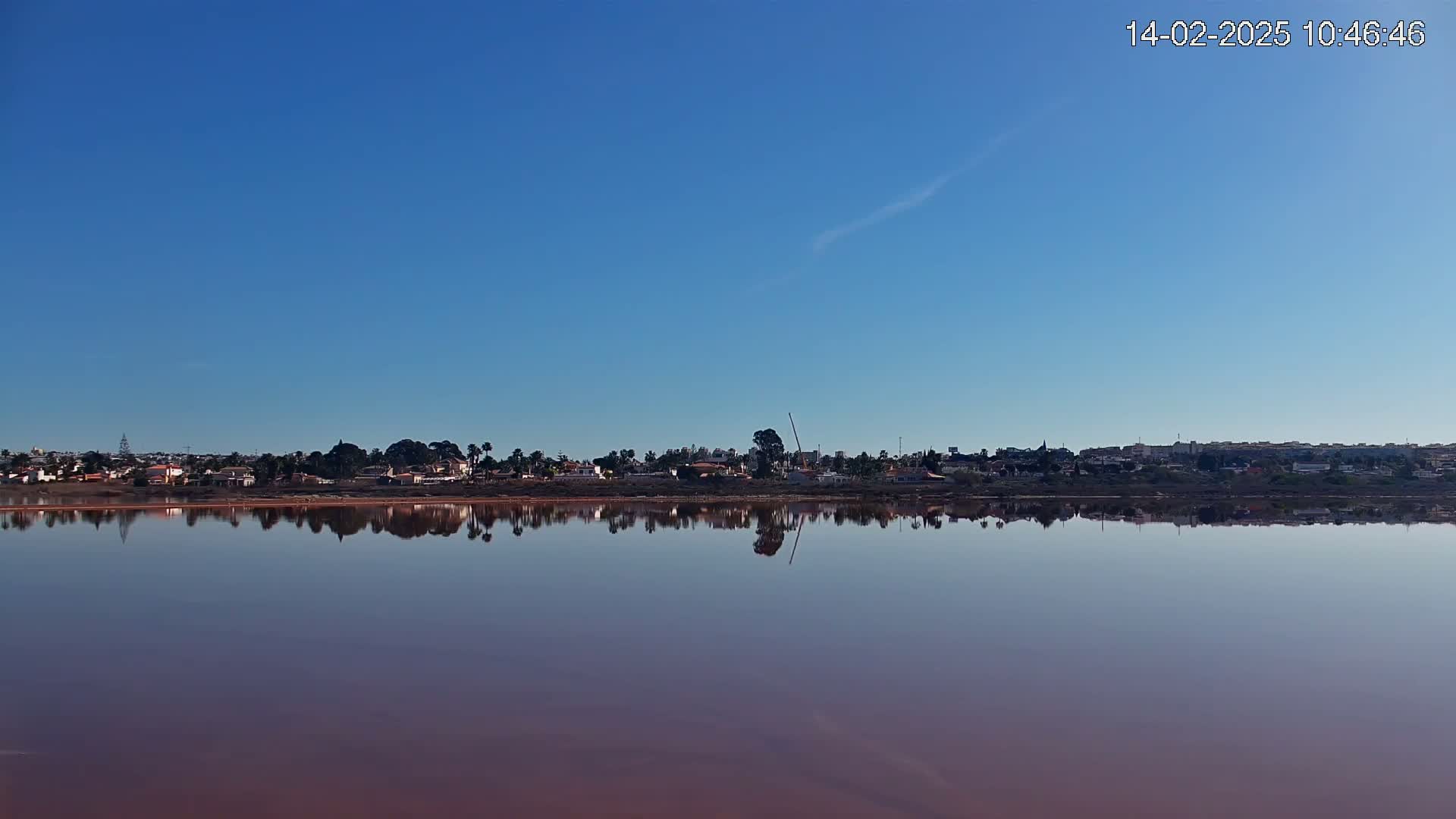 A calm, pink-hued lake reflects a clear blue sky and a line of houses and trees under a clear blue sky.
