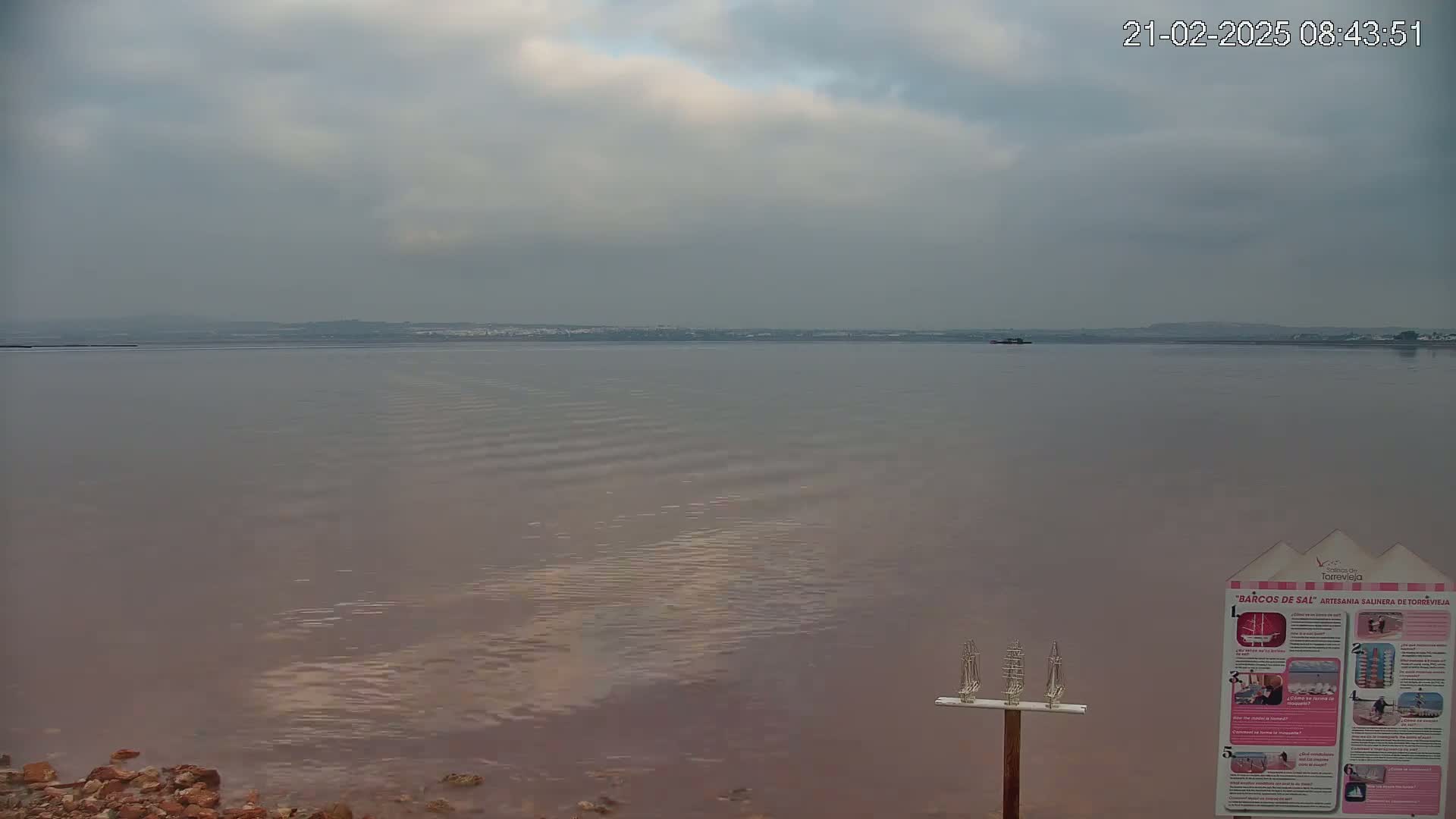 A calm, pinkish body of water stretches to a distant shoreline under a cloudy sky.
