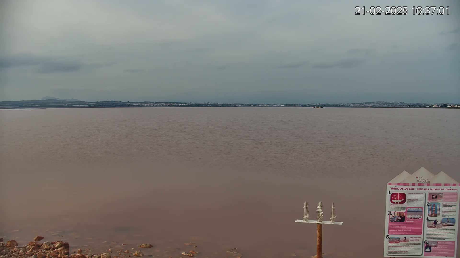A pinkish-brown body of water stretches to a distant shoreline under an overcast sky.