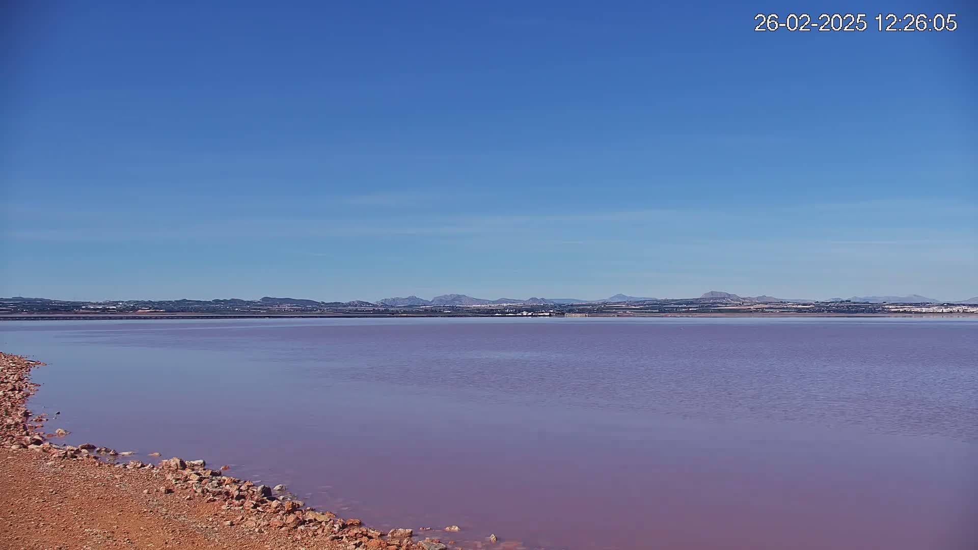 A calm, light purple body of water stretches to a distant shoreline under a clear blue sky.