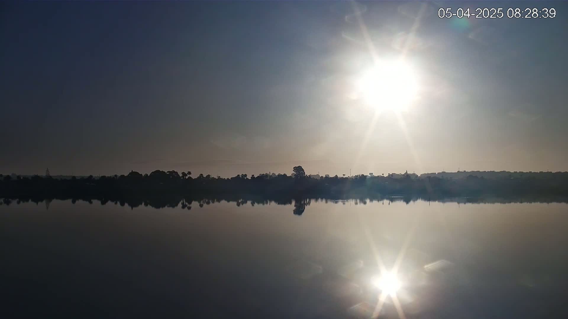 A calm body of water reflects the sun and a silhouetted treeline on a clear, sunny morning.