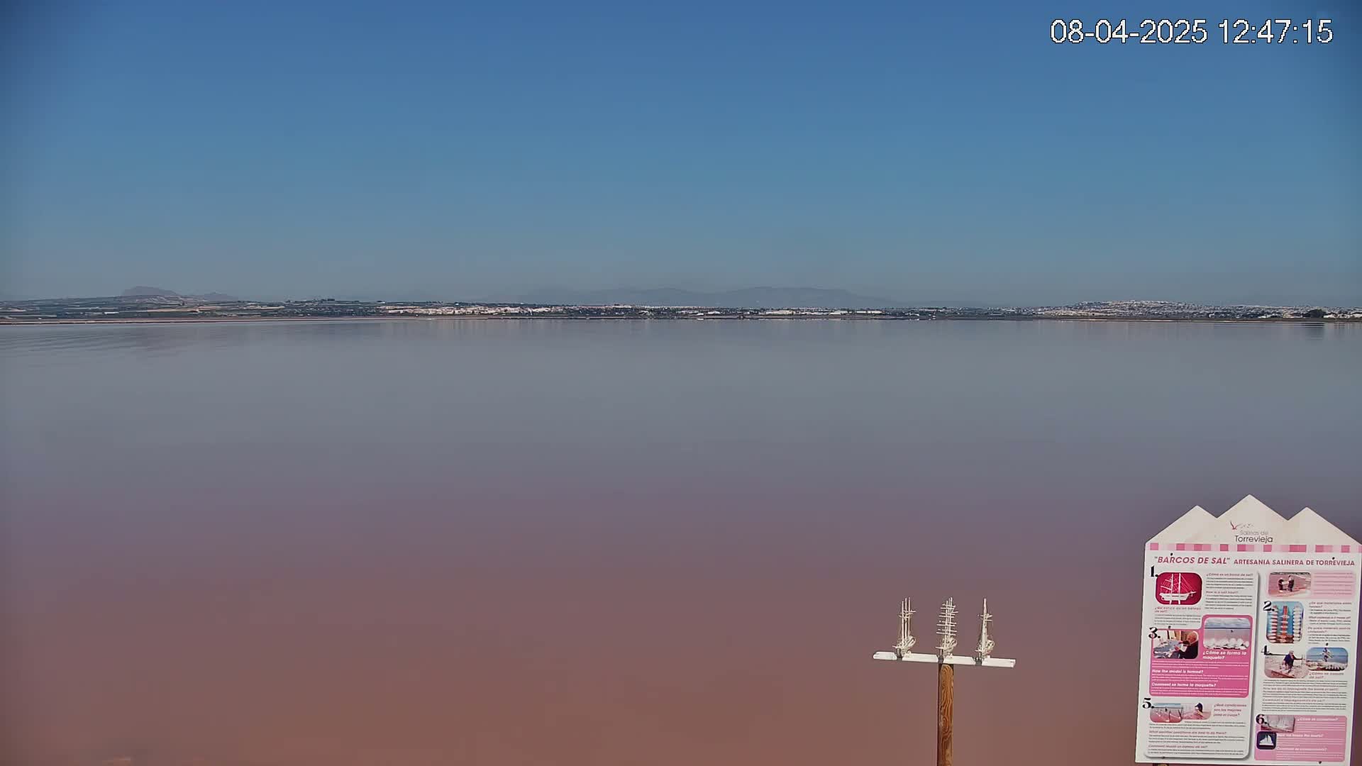 A calm, pink lake stretches to a distant shoreline under a clear blue sky.