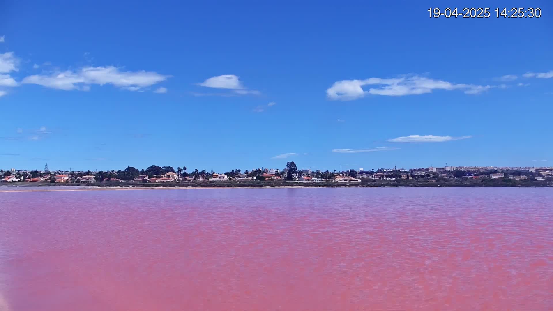 A pink lake stretches to a distant shoreline of houses under a mostly clear blue sky with a few scattered clouds.