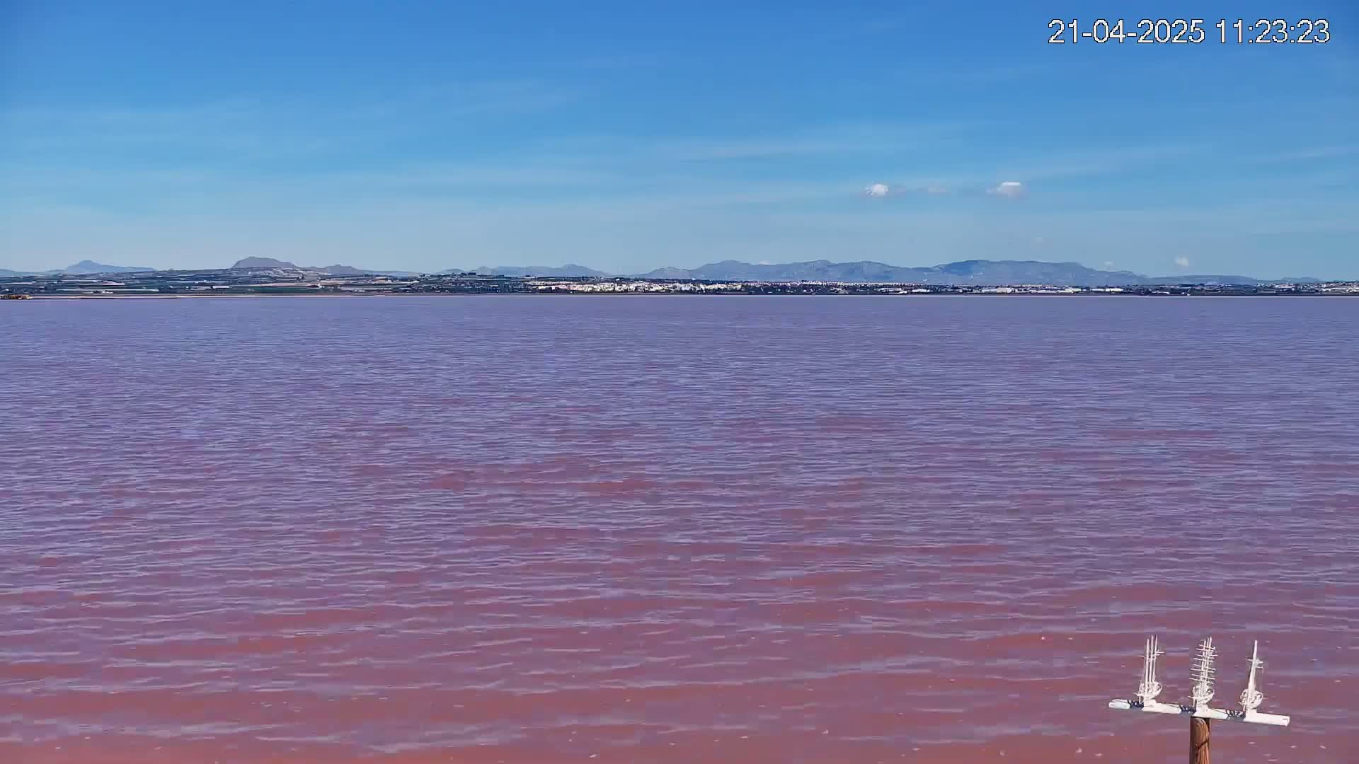 A pink lake stretches to a distant shoreline of low hills under a clear blue sky.