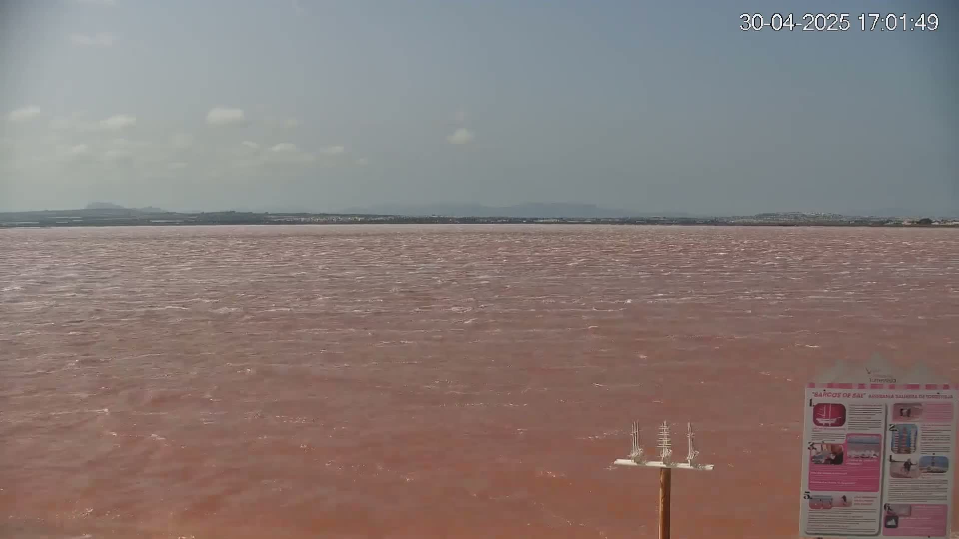 A pink lake with slight waves stretches to a distant shoreline under a mostly clear sky.
