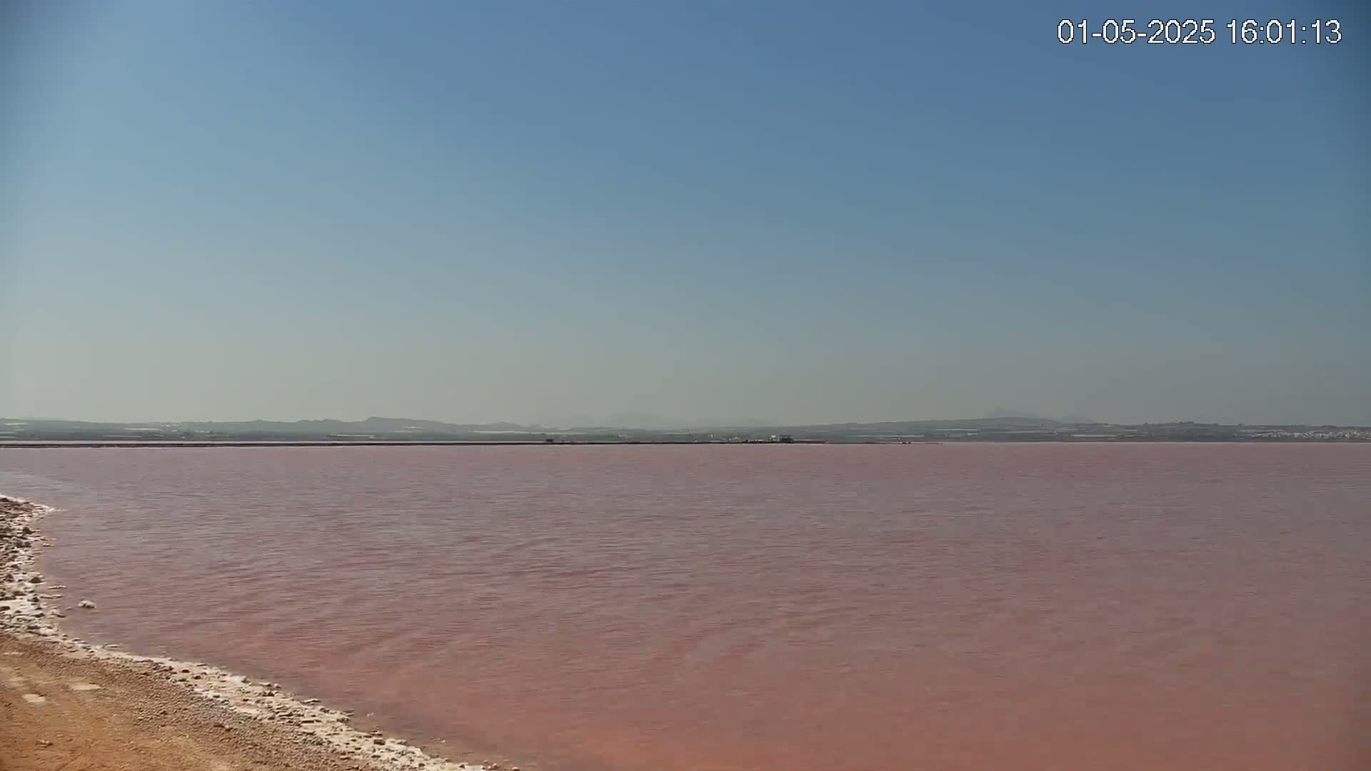 A pink lake stretches to a distant, hazy shoreline under a clear blue sky.