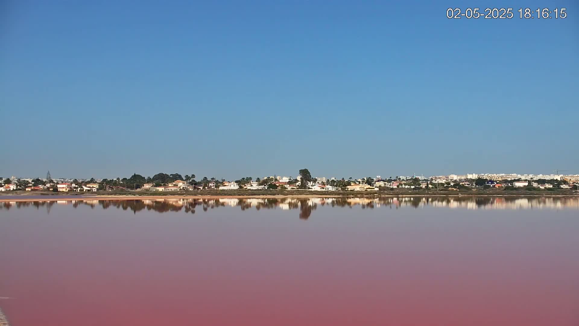 A pink lake reflects a clear blue sky and a line of houses and trees on the opposite shore.
