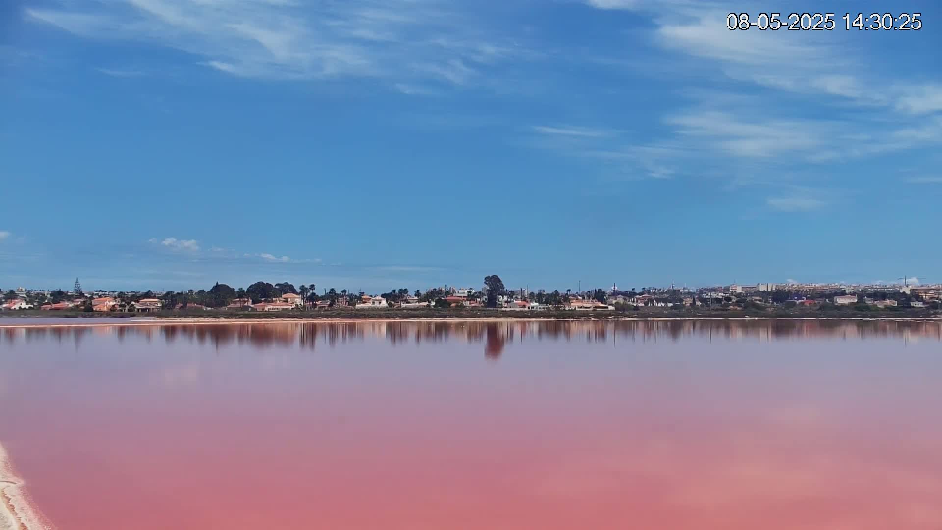 A pink lake reflects a clear blue sky and a line of houses under a mostly sunny sky.