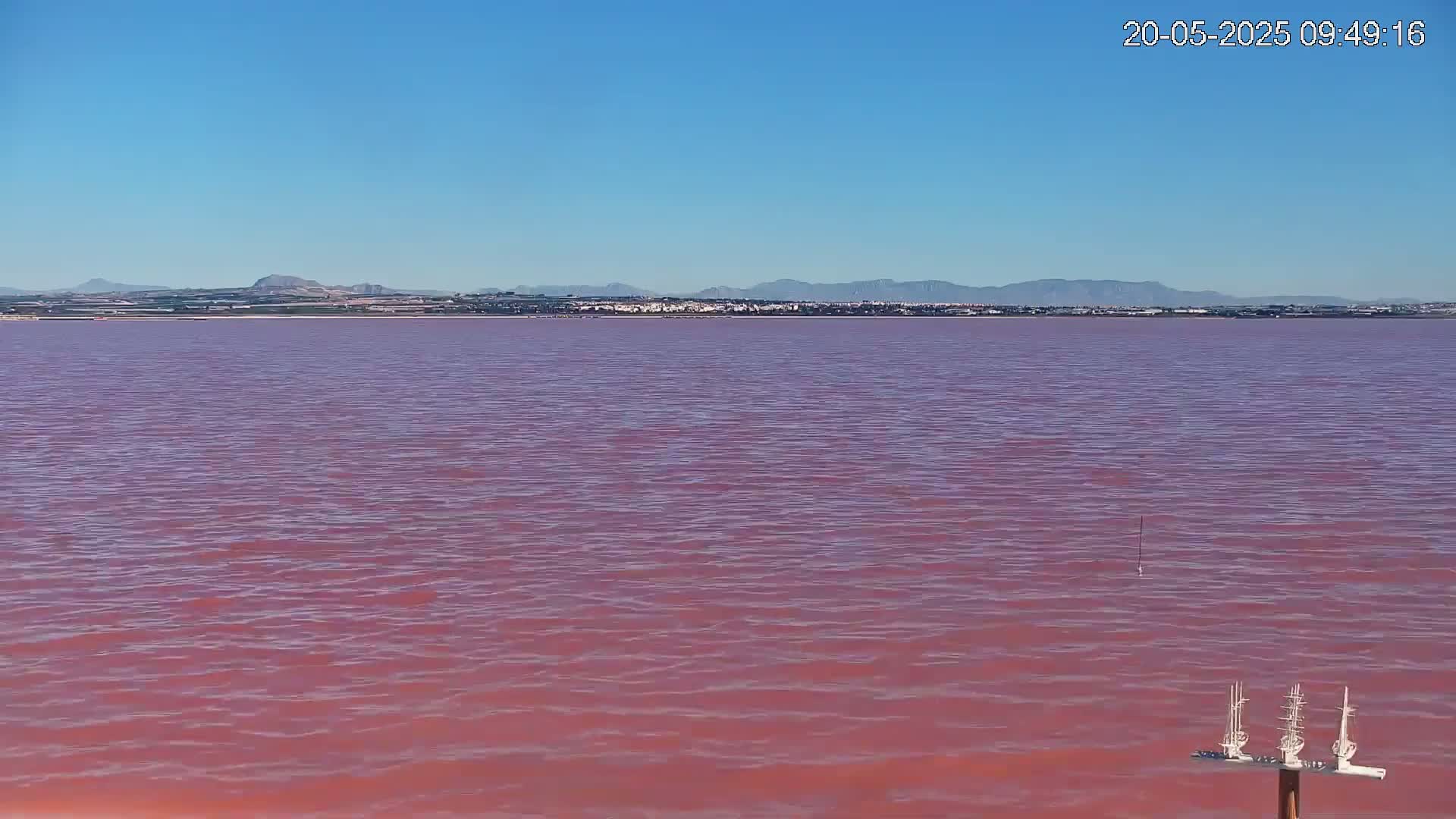 A pink lake stretches to a distant shoreline under a clear blue sky.