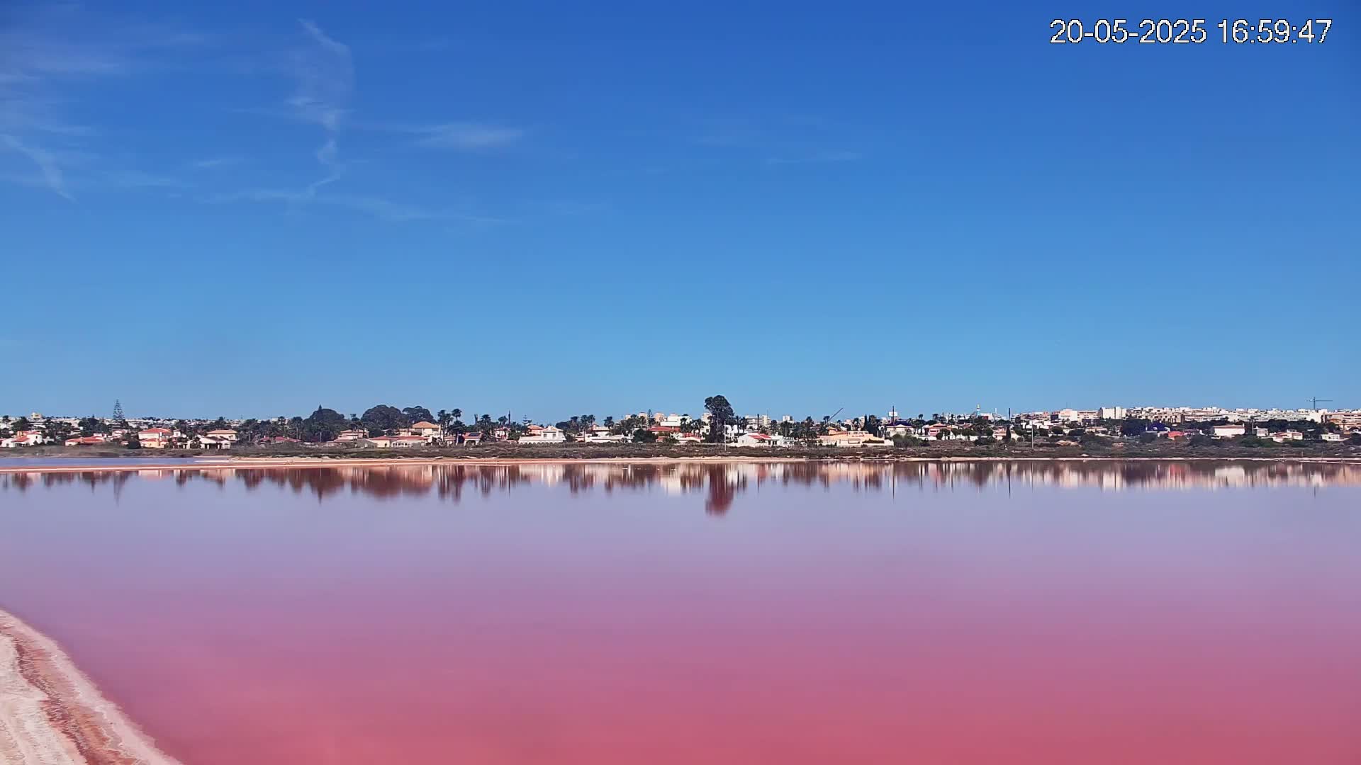 A pink lake reflects a clear blue sky and a line of houses under it.