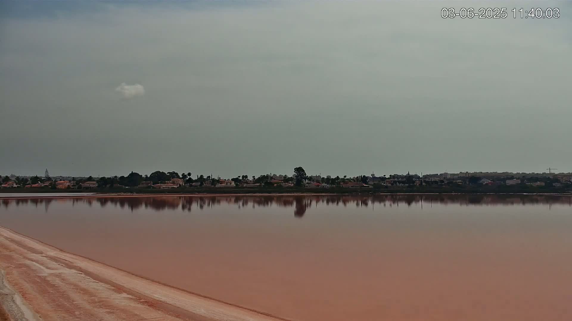A pinkish-red body of water reflects a distant line of buildings and trees under an overcast sky.