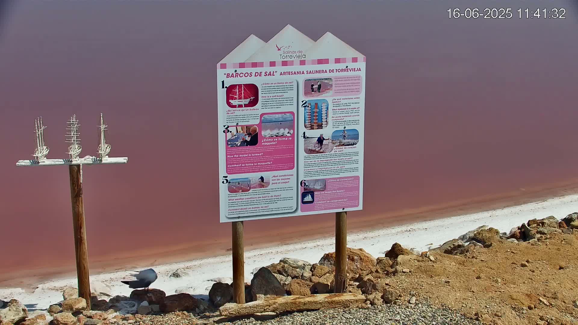 A pink salt lake shore displays a sign with images and text about salt boats,  three small model sailboats on a post, and a bird standing on rocks.
