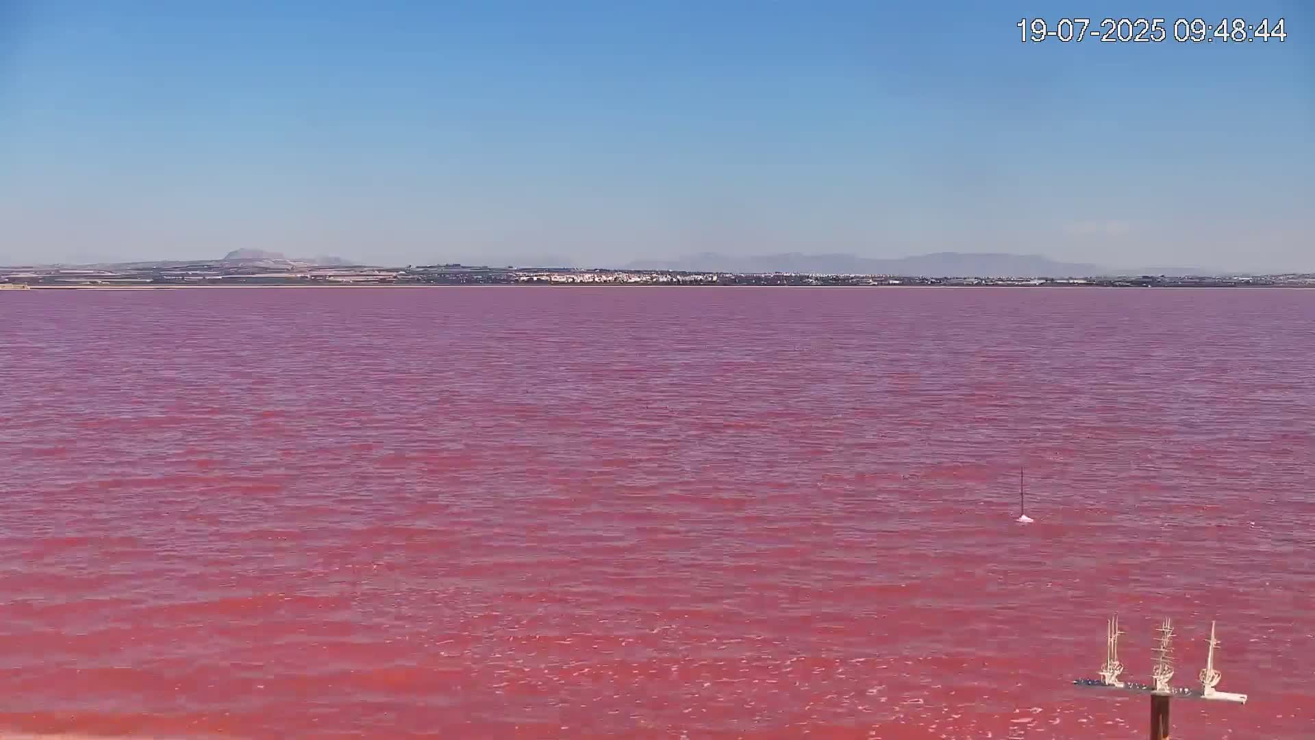 A pink lake stretches to a distant shoreline under a clear blue sky.