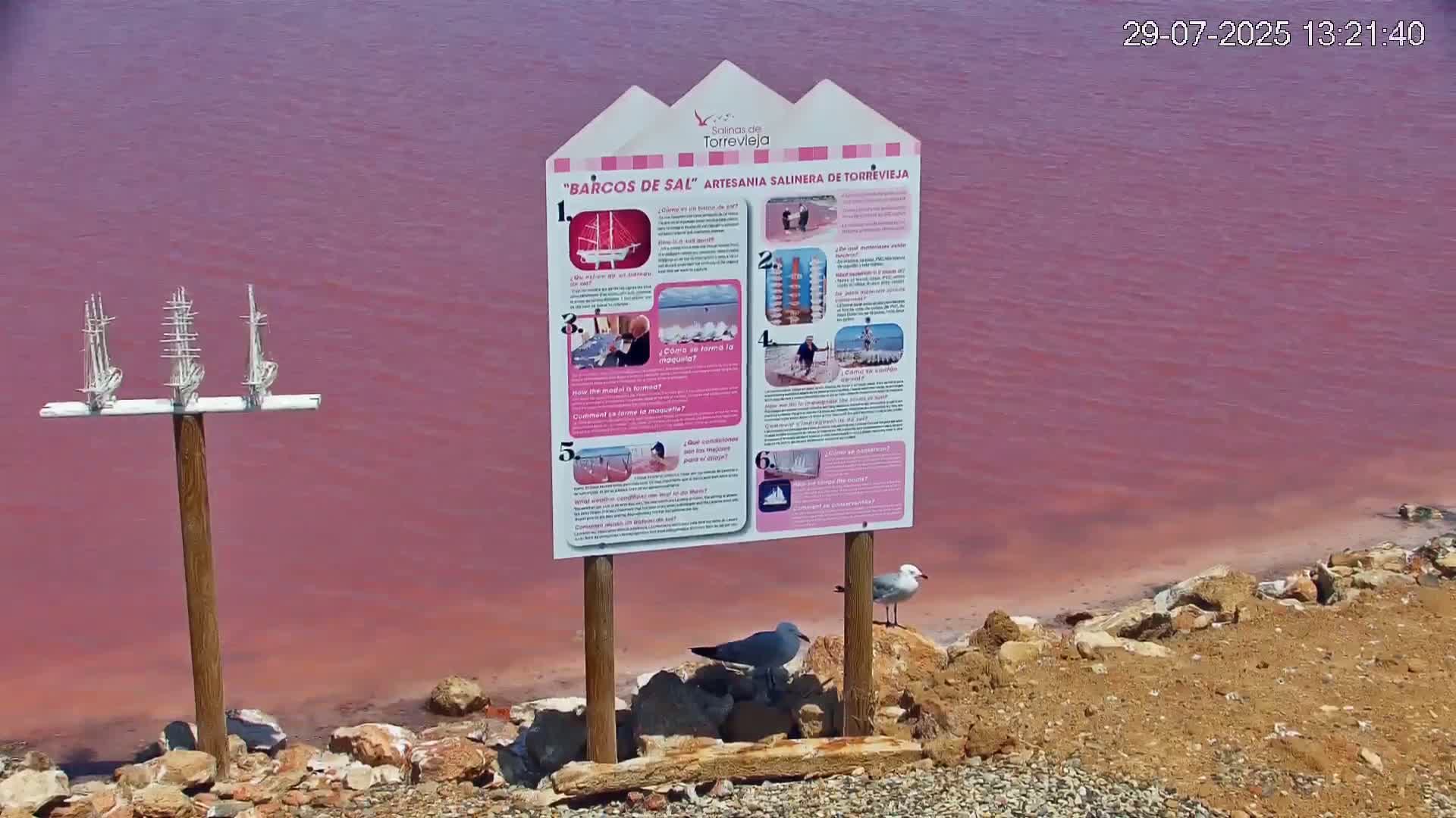 Torrevieja Rosa Lake (Lago Rosa) Live Cam - Torrevieja, Alicante, Valencia, Spain