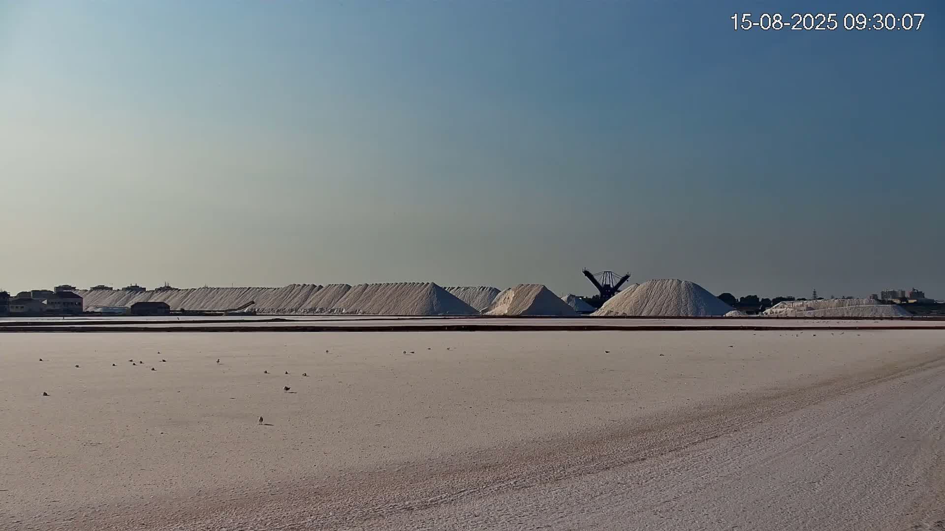 Under a clear sky, a flat expanse of white salt flats stretches towards a background of large piles of salt and industrial machinery.