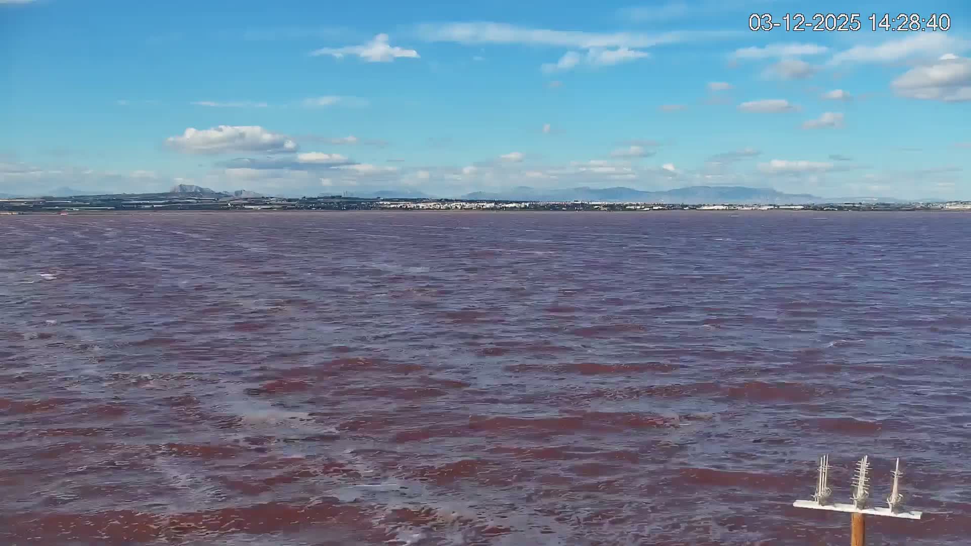 Torrevieja Rosa Lake (Lago Rosa) Live Cam - Torrevieja, Alicante, Valencia, Spain